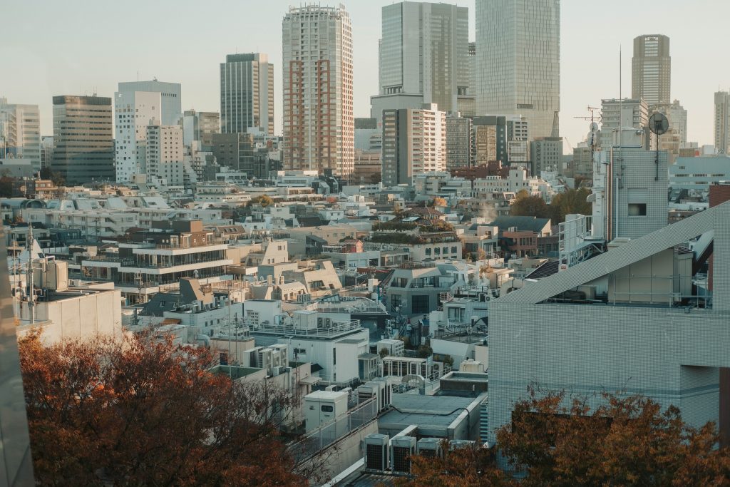 5 days in Tokyo itinerary - beautiful Tokyo from above as seen from Omohara Garden at sunset