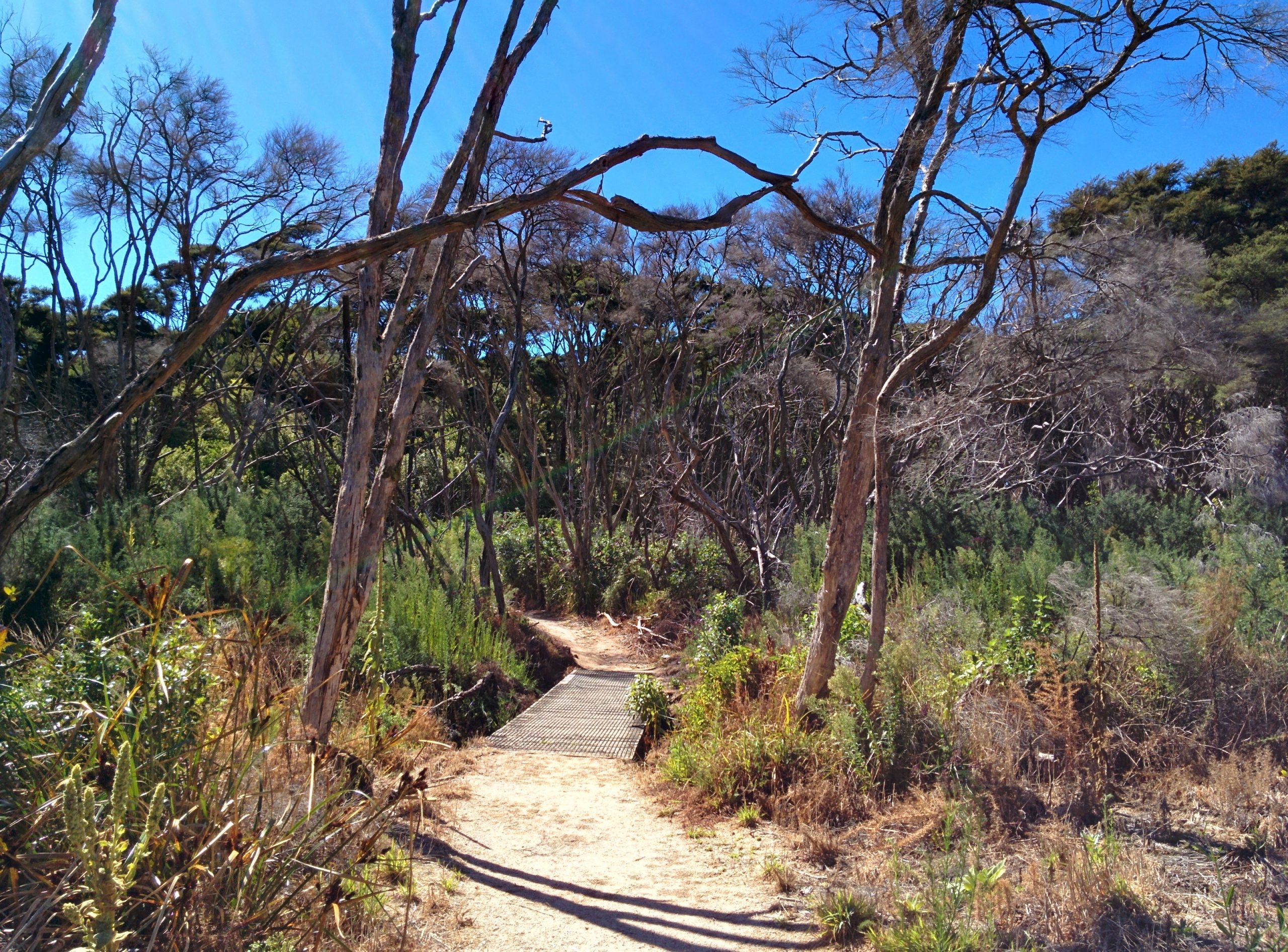 Abel Tasman Coastal Track New Zealand