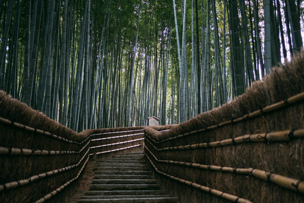Adashino-Nembutsu-ji Temple with its bamboo path