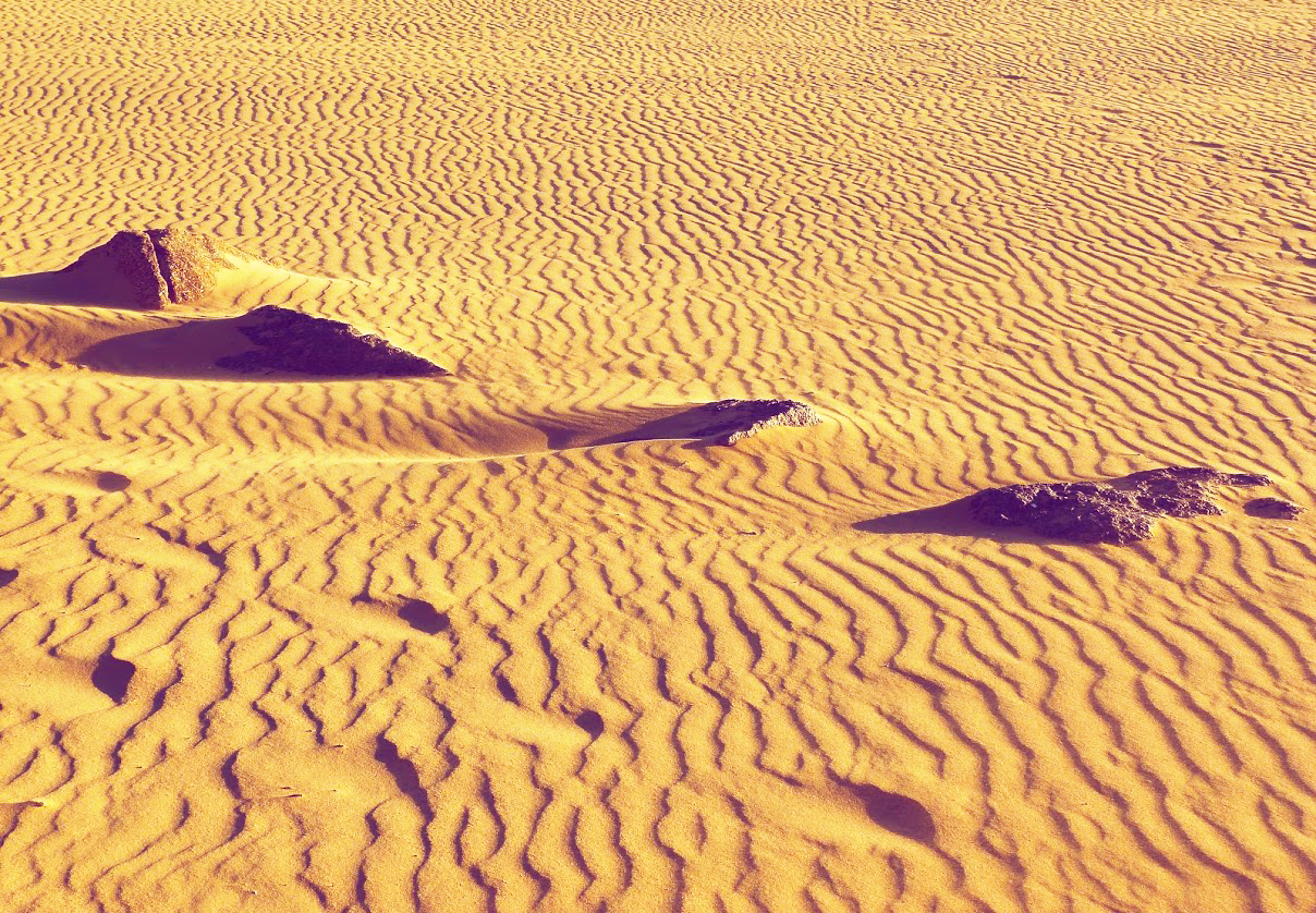 Algarve Sand Dunes
