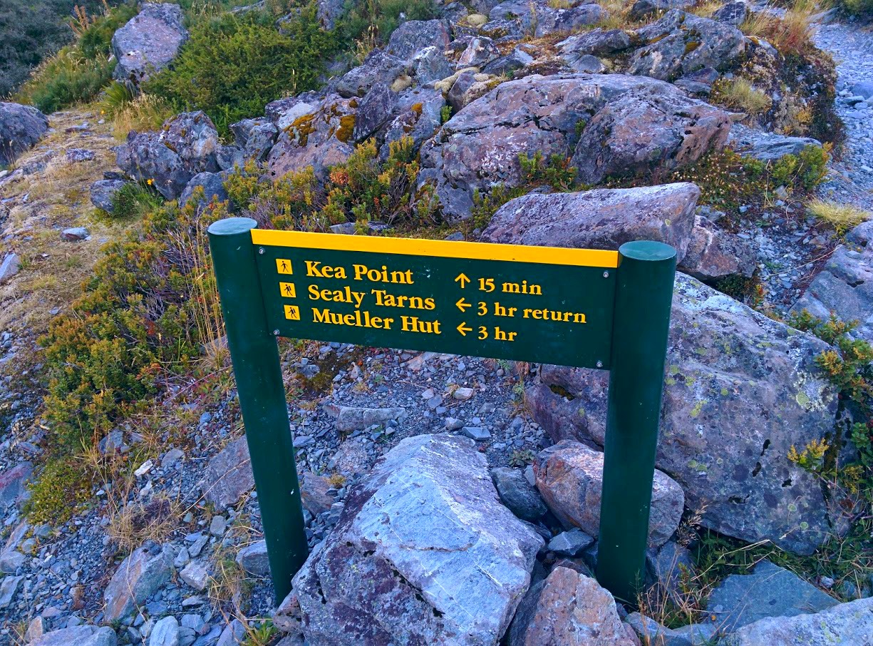 Aoraki Day Hikes