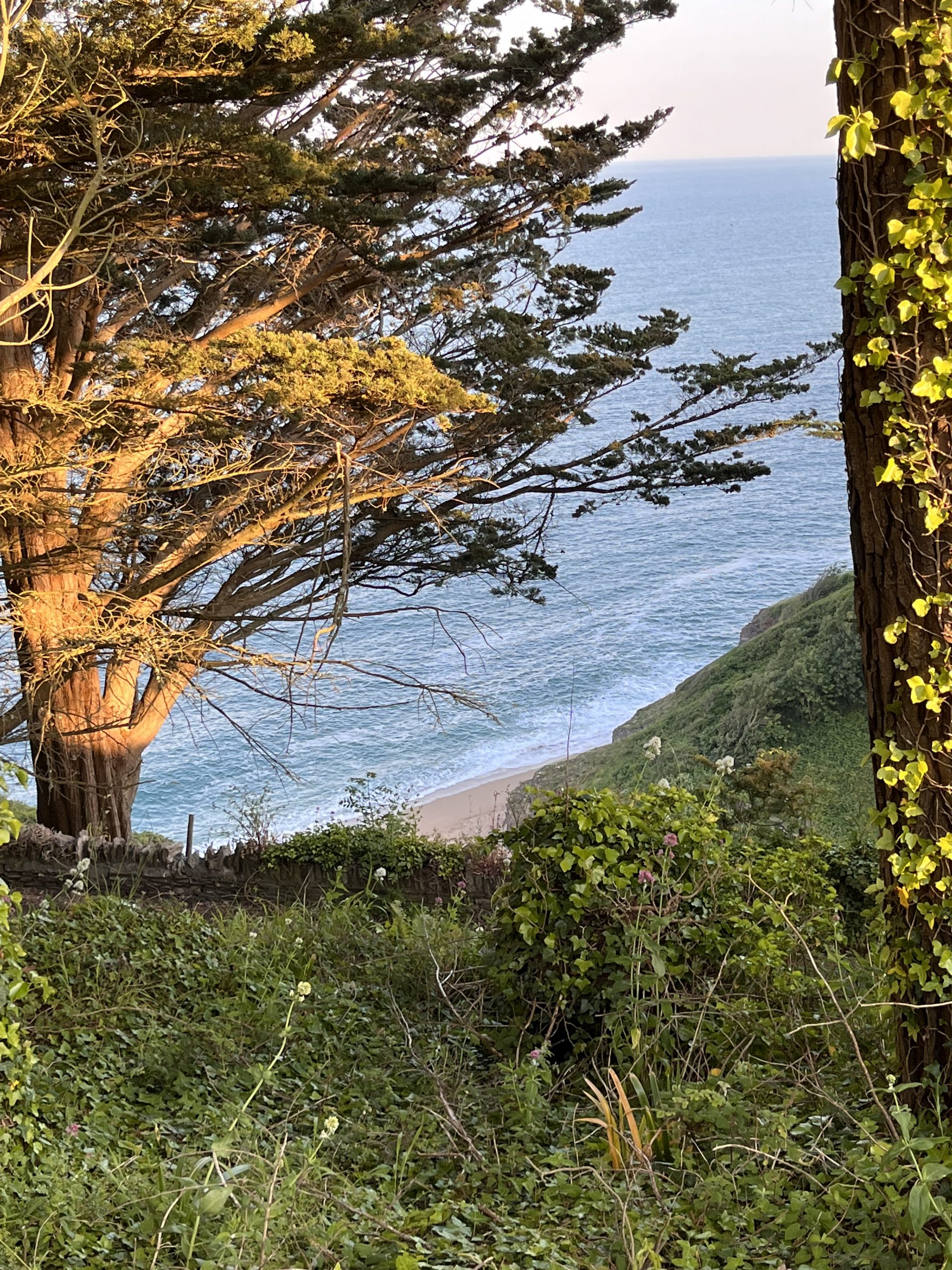 Afternoon walk towards the beach of Devon