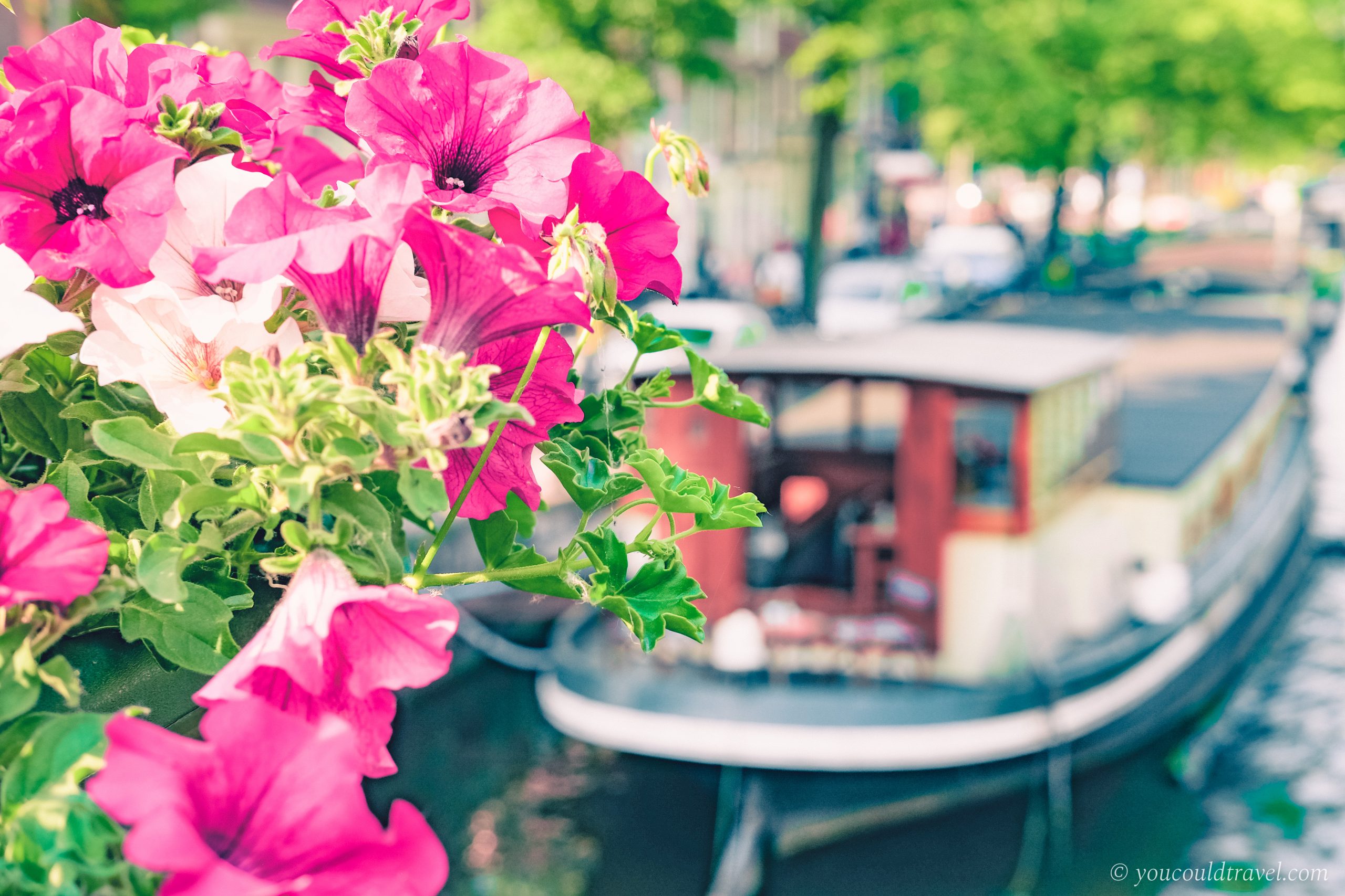 Amsterdam Accommodation Houseboats