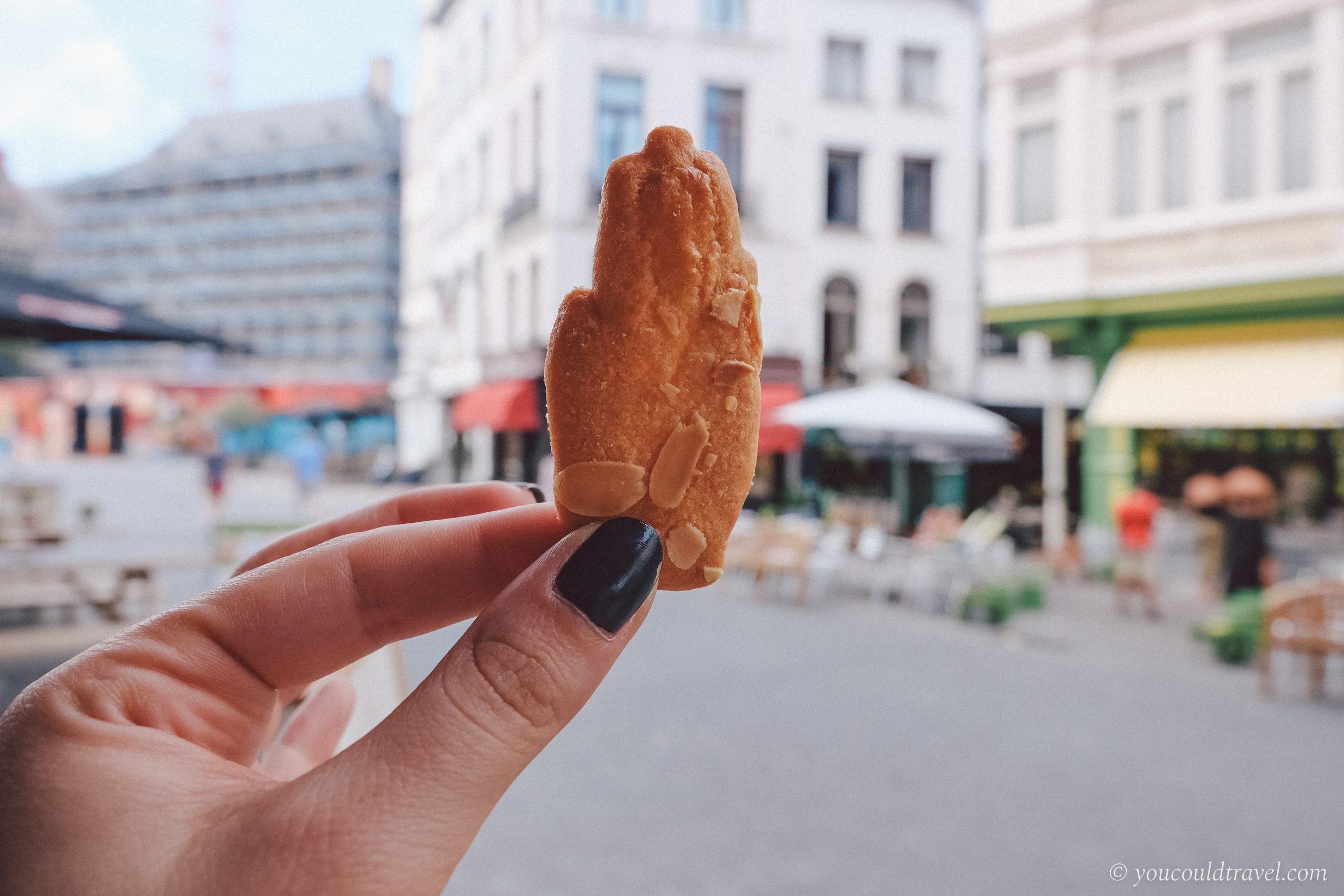 Antwerp Biscuits