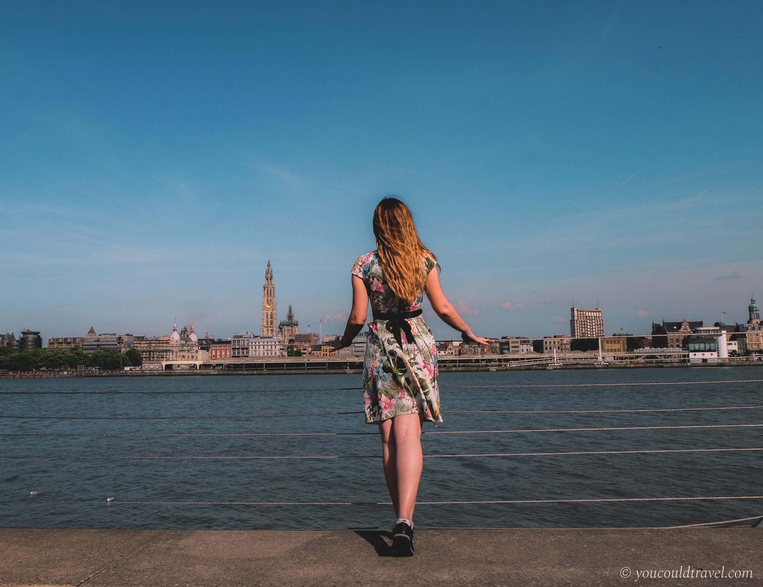 Antwerp Skyline