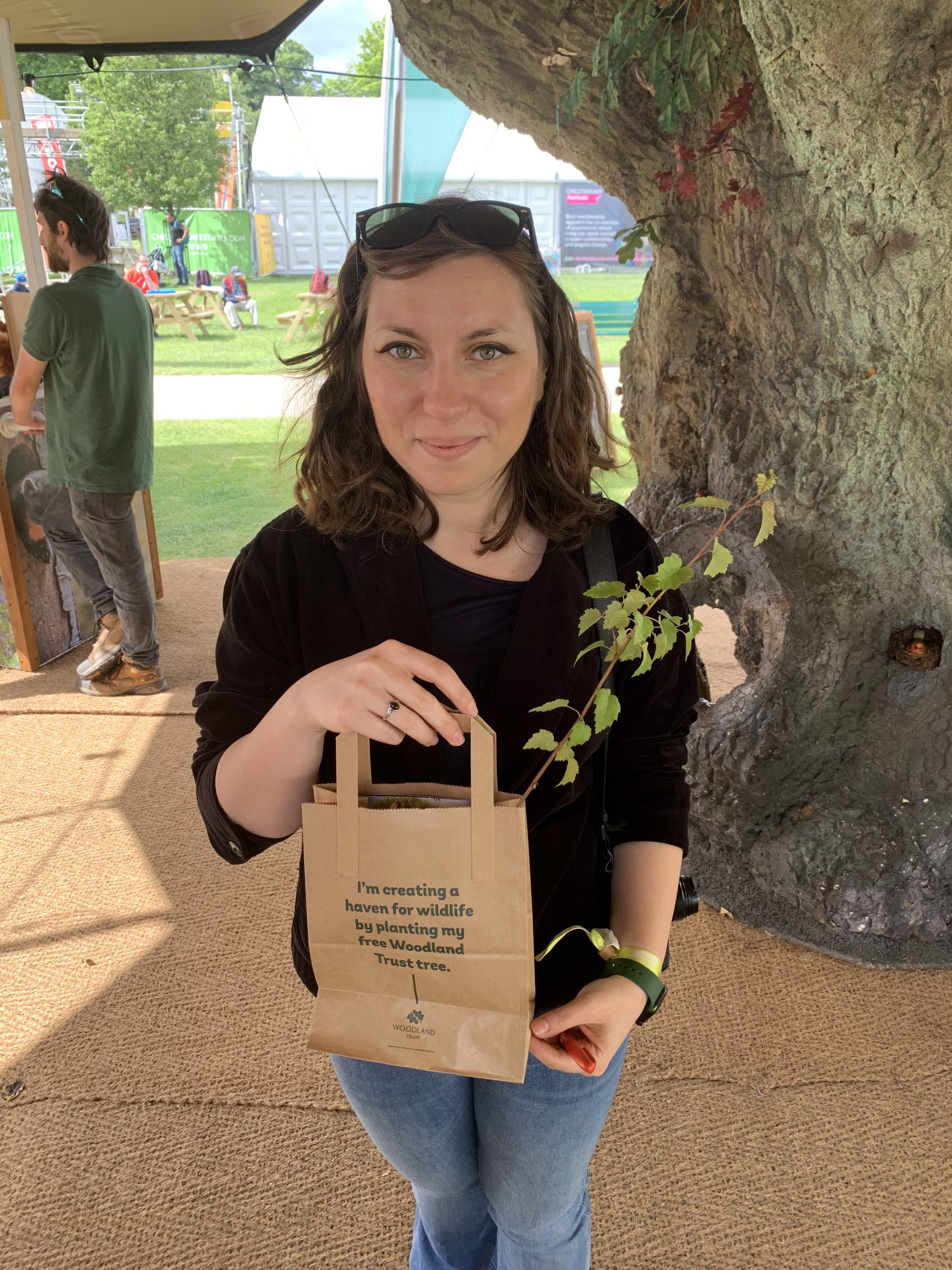 Attend festivals in Cheltenham - Cory won a small silver birch tree Attend festivals in Cheltenham - Cory won a small silver birch tree