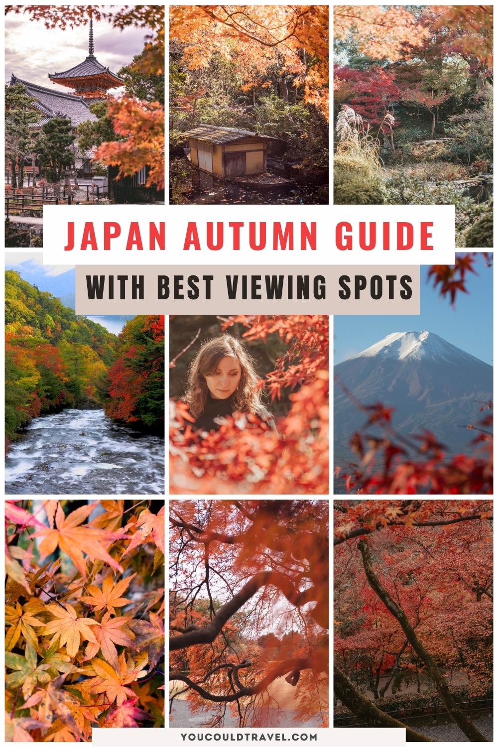 Autumn Colours Koyo in Japan Pin