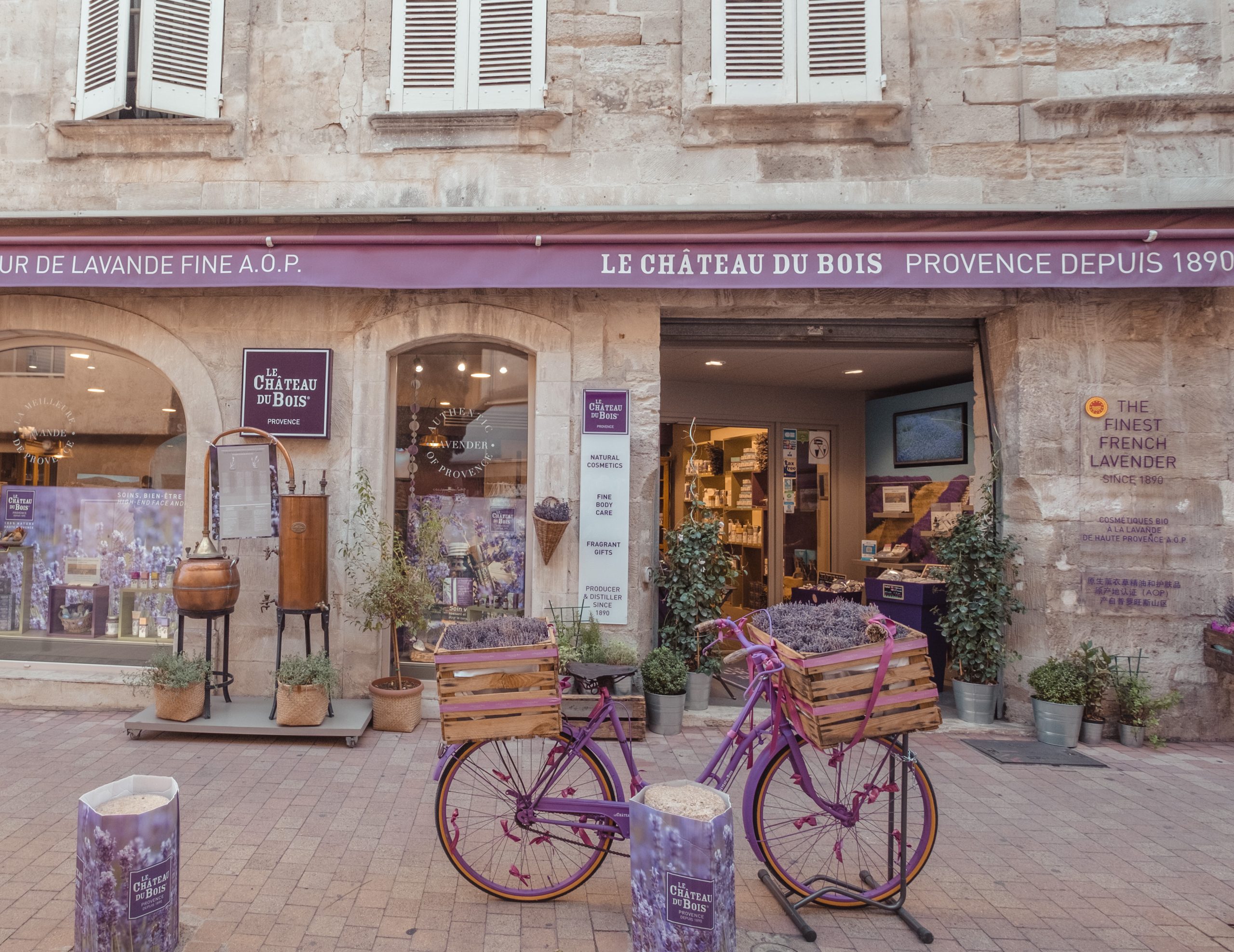 Avignon capital of Provence France Avignon capital of Provence France