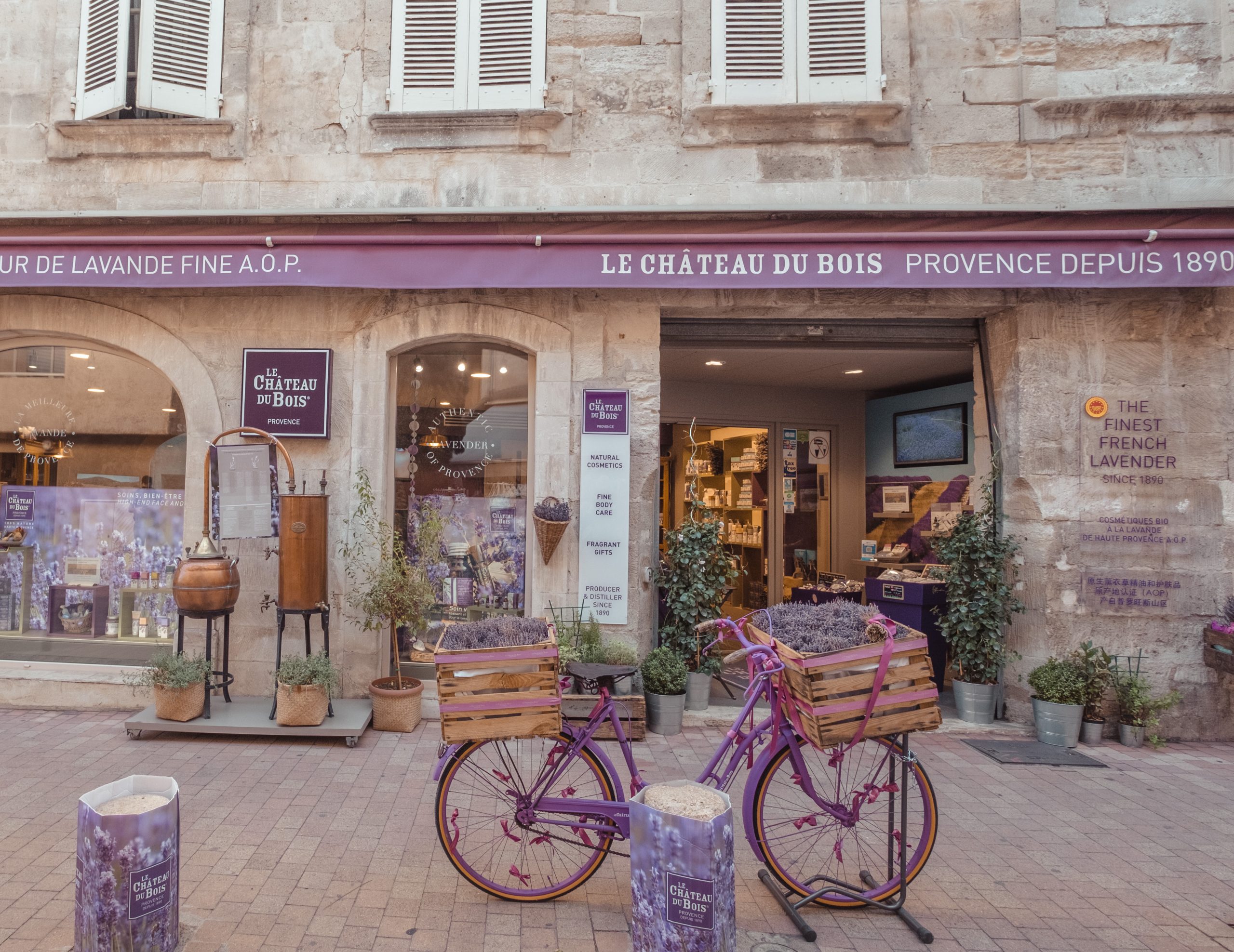 Avignon capital of Provence France