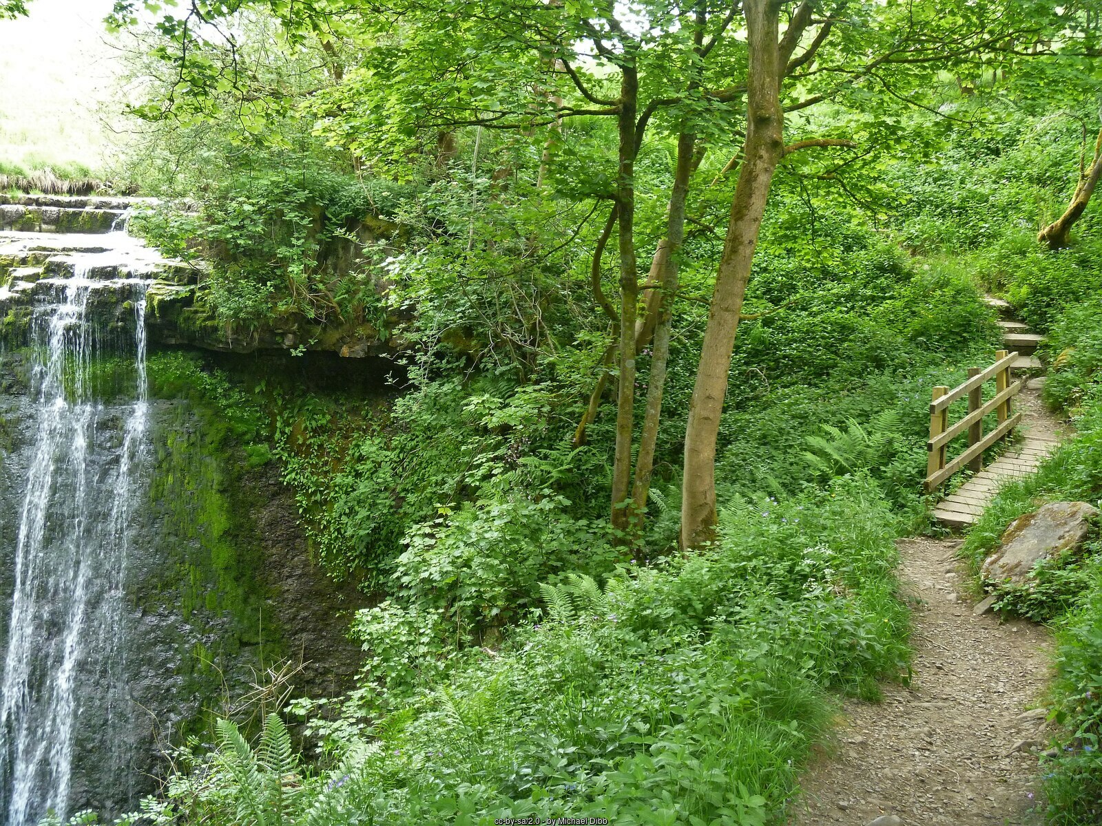 Aysgill Force Waterfall in Hawes in North Yorkshire