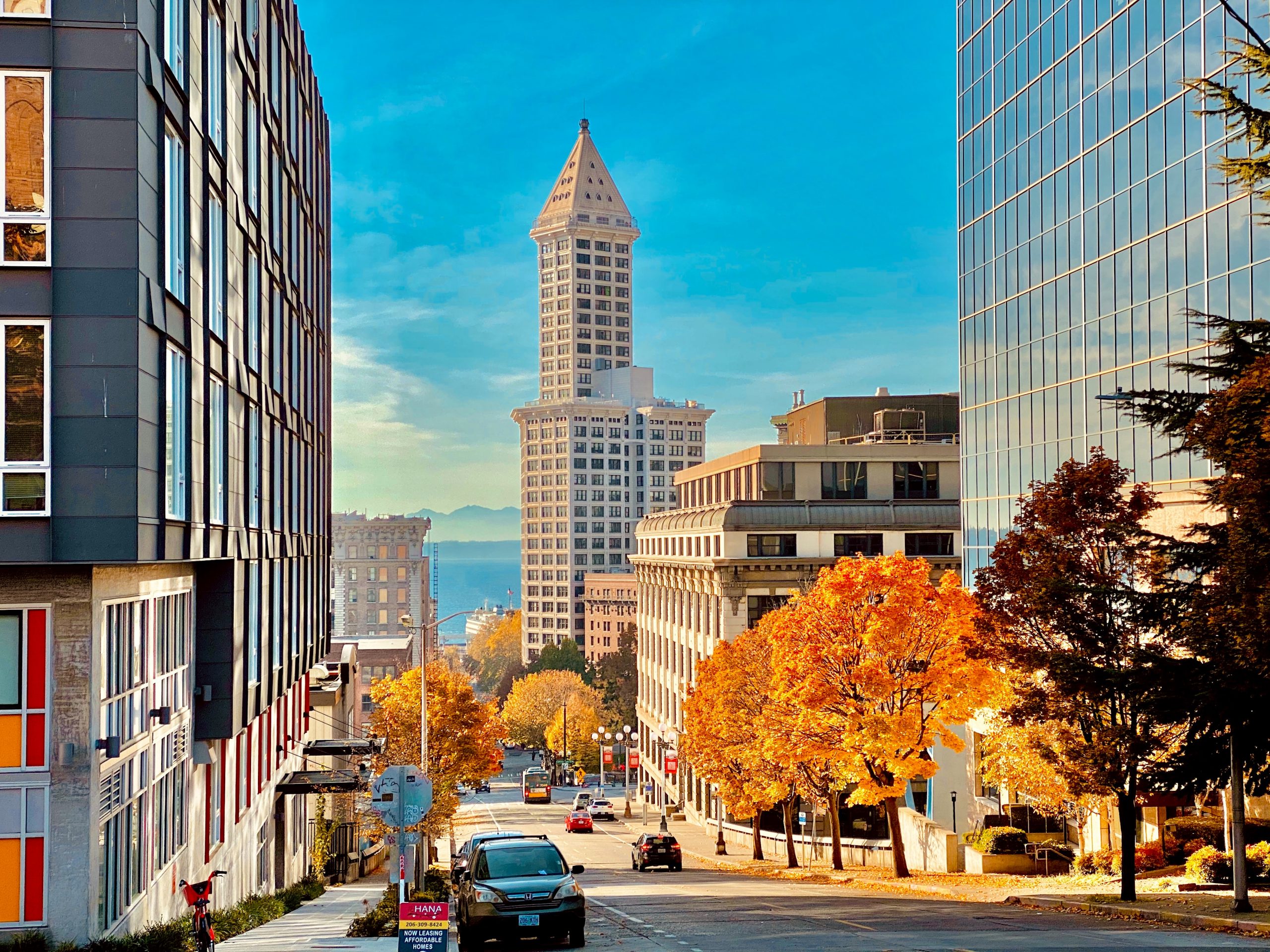 Beautiful autumn street in the centre of Seattle - ideal place to stay in Seattle