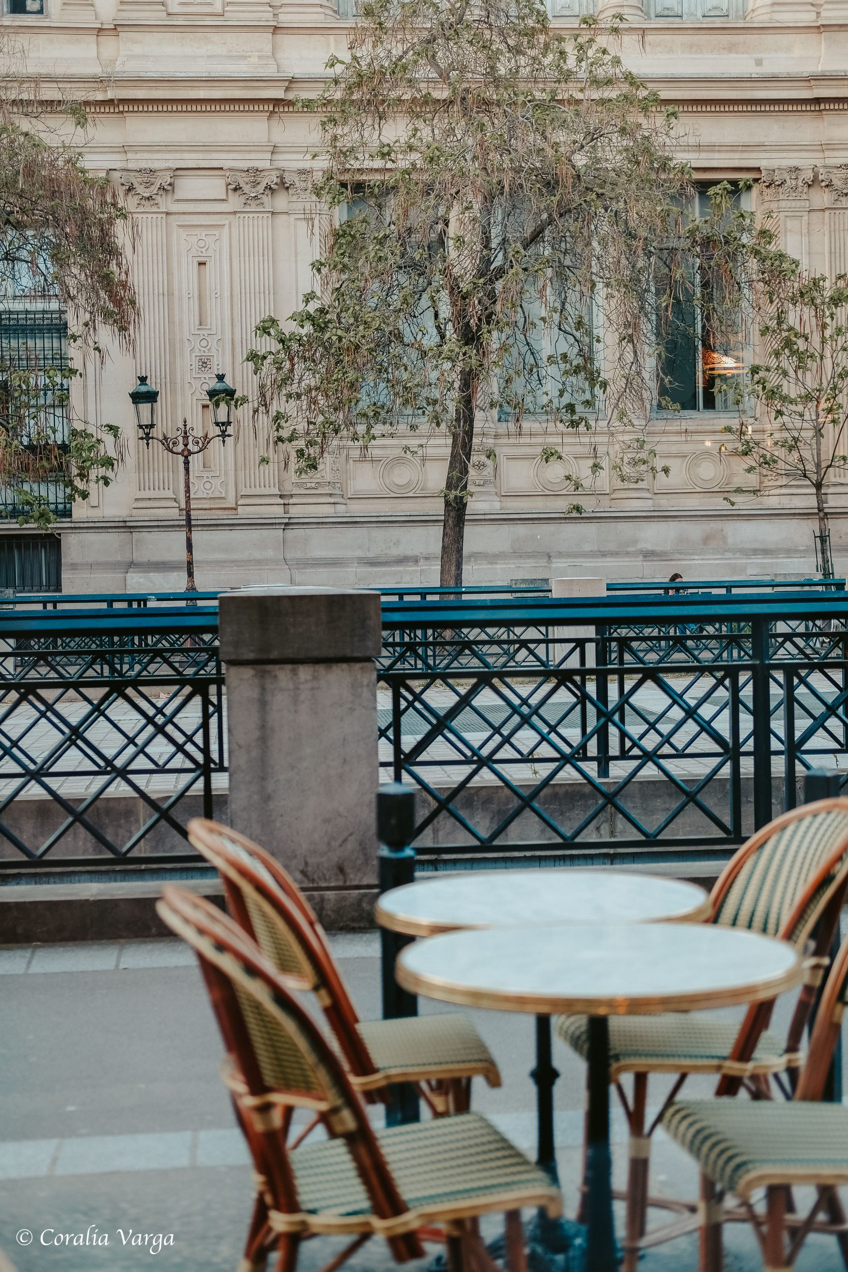 Beautiful bistro in centre of Paris