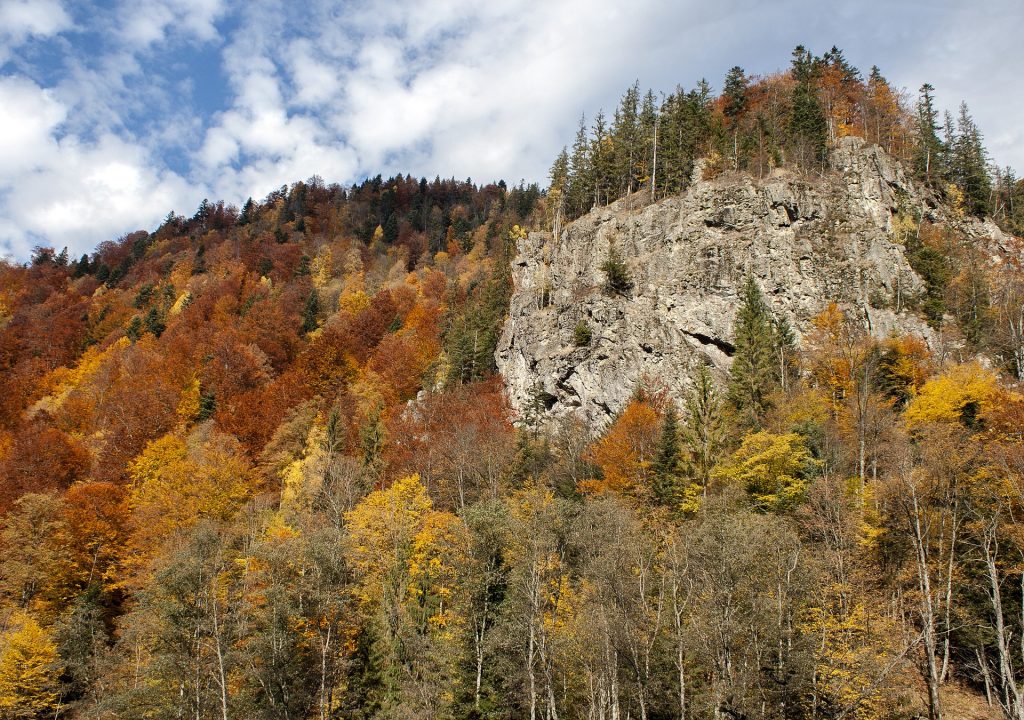 Beautiful caciulata romania