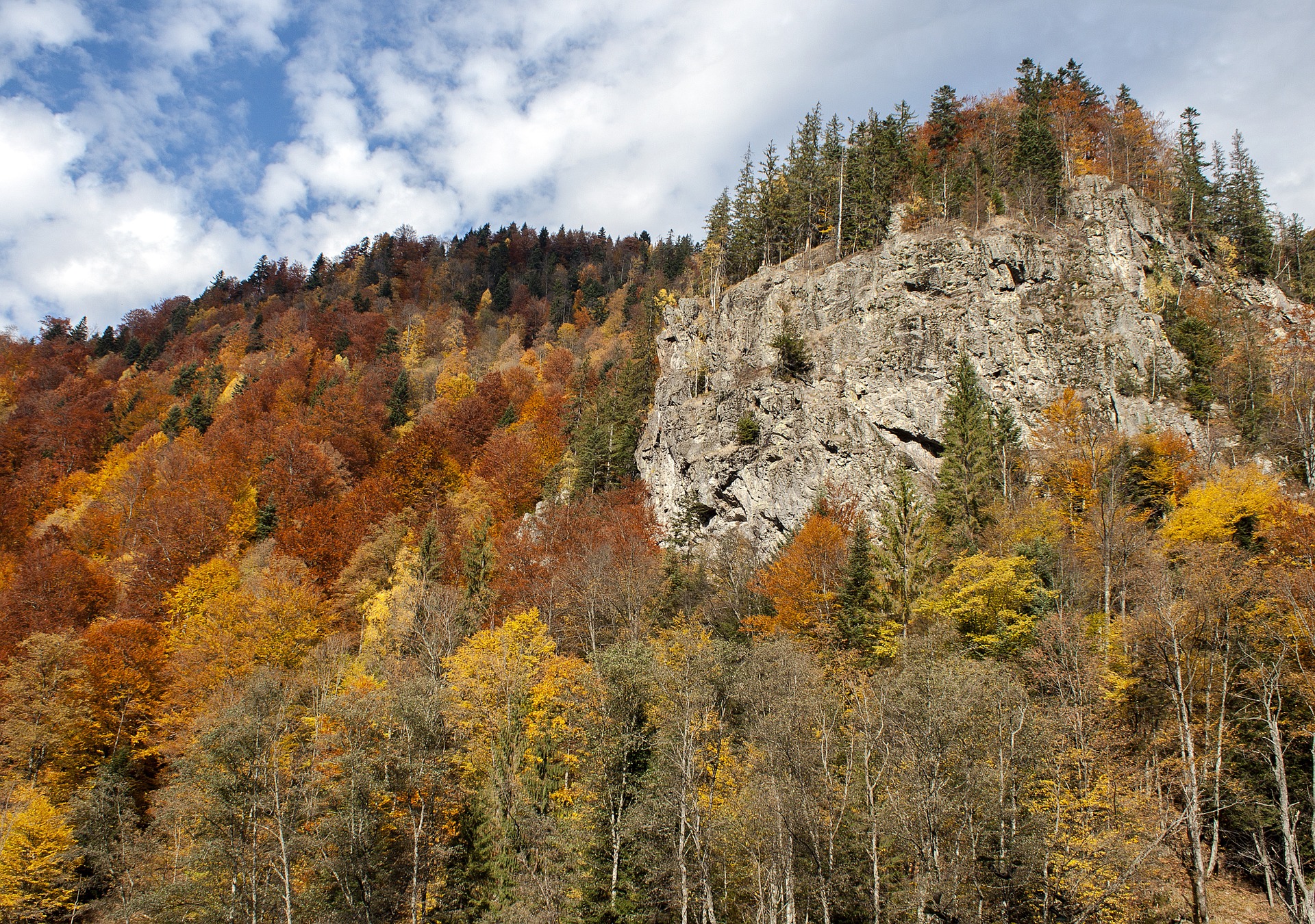 A view of the hills and forests in Caciulata Romania