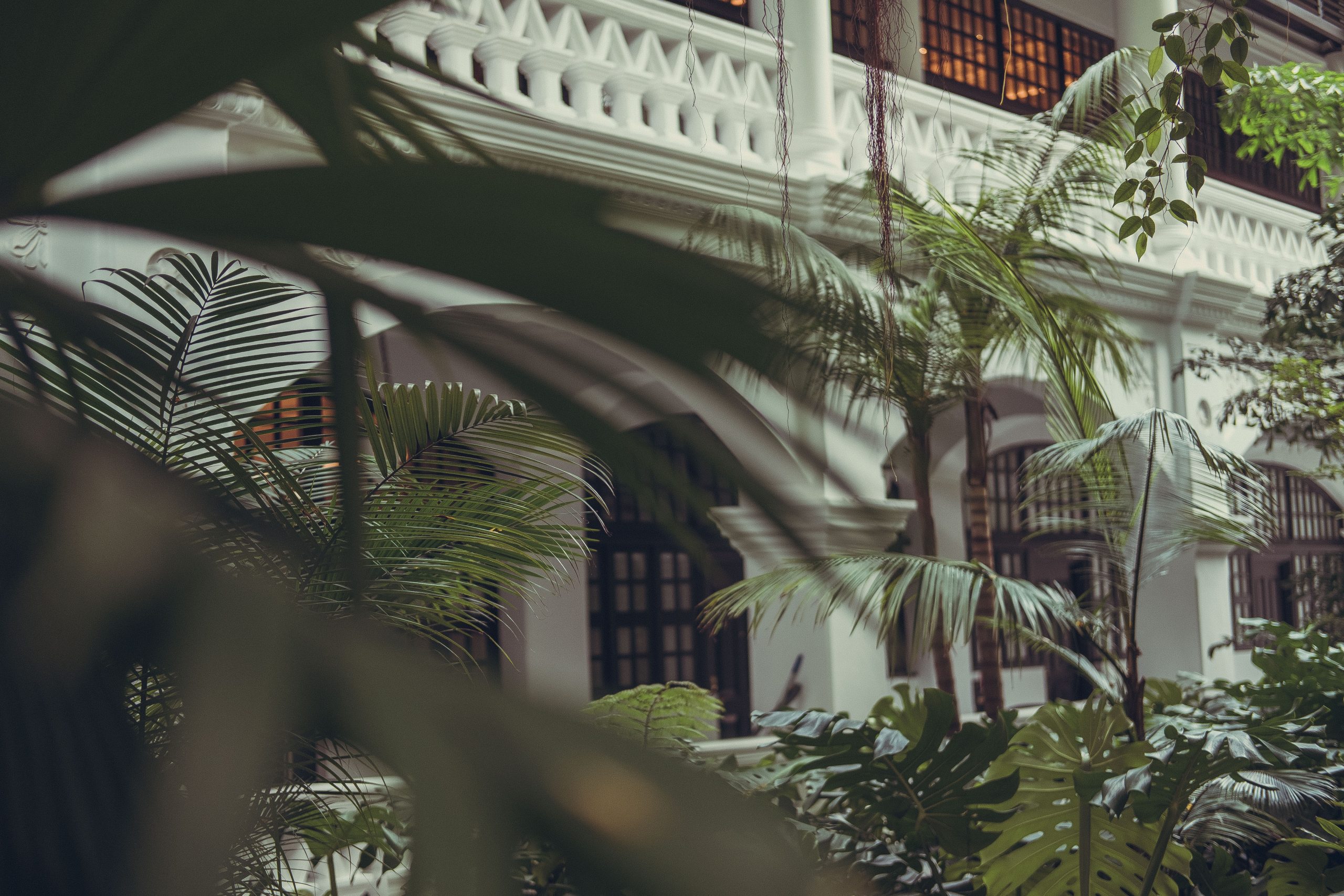Beautiful greenary Raffles Hotel Singapore Beautiful greenary Raffles Hotel Singapore
