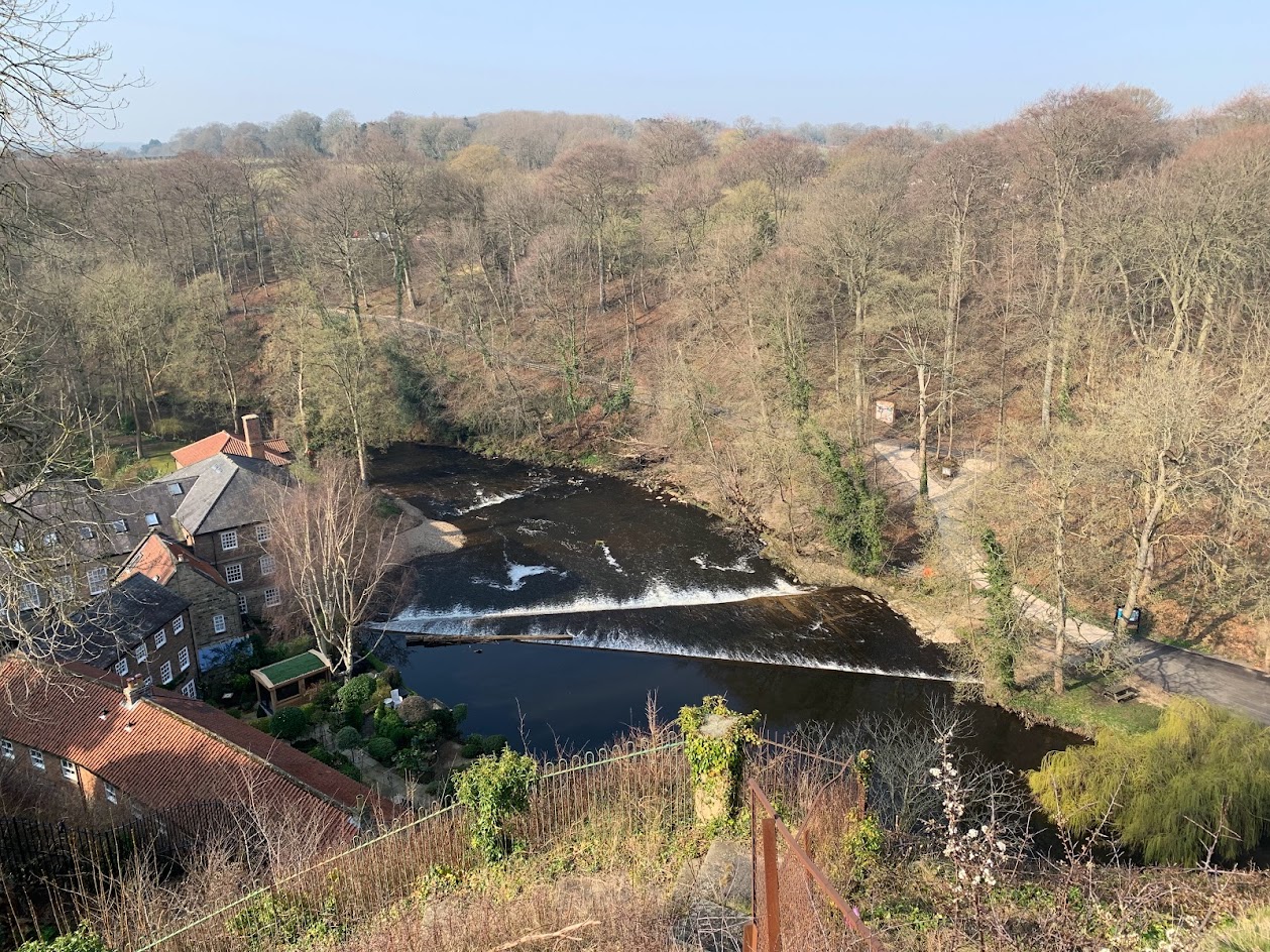 Beautiful Knaresborough forest walkway