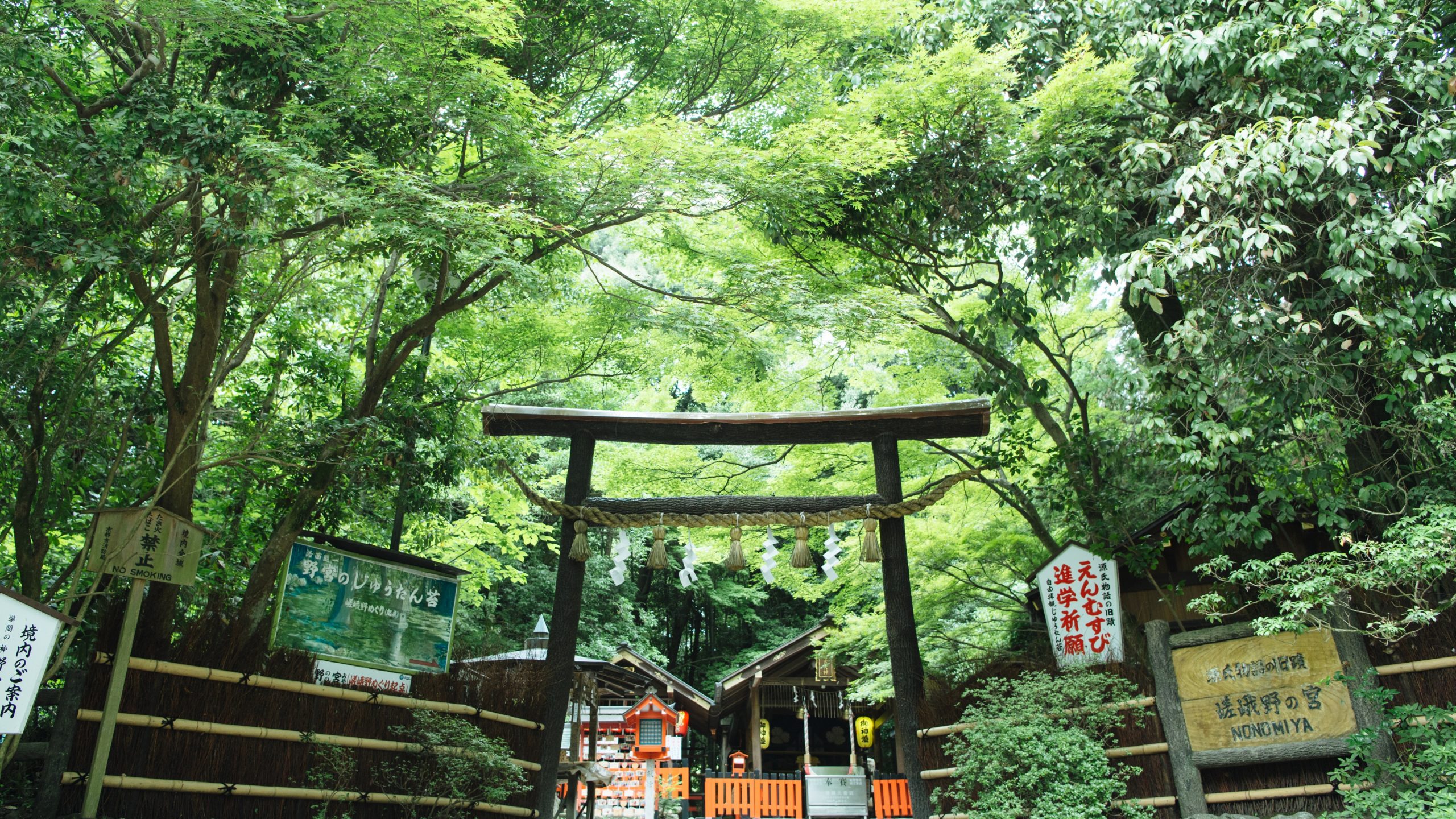 Beautiful Kyoto in July