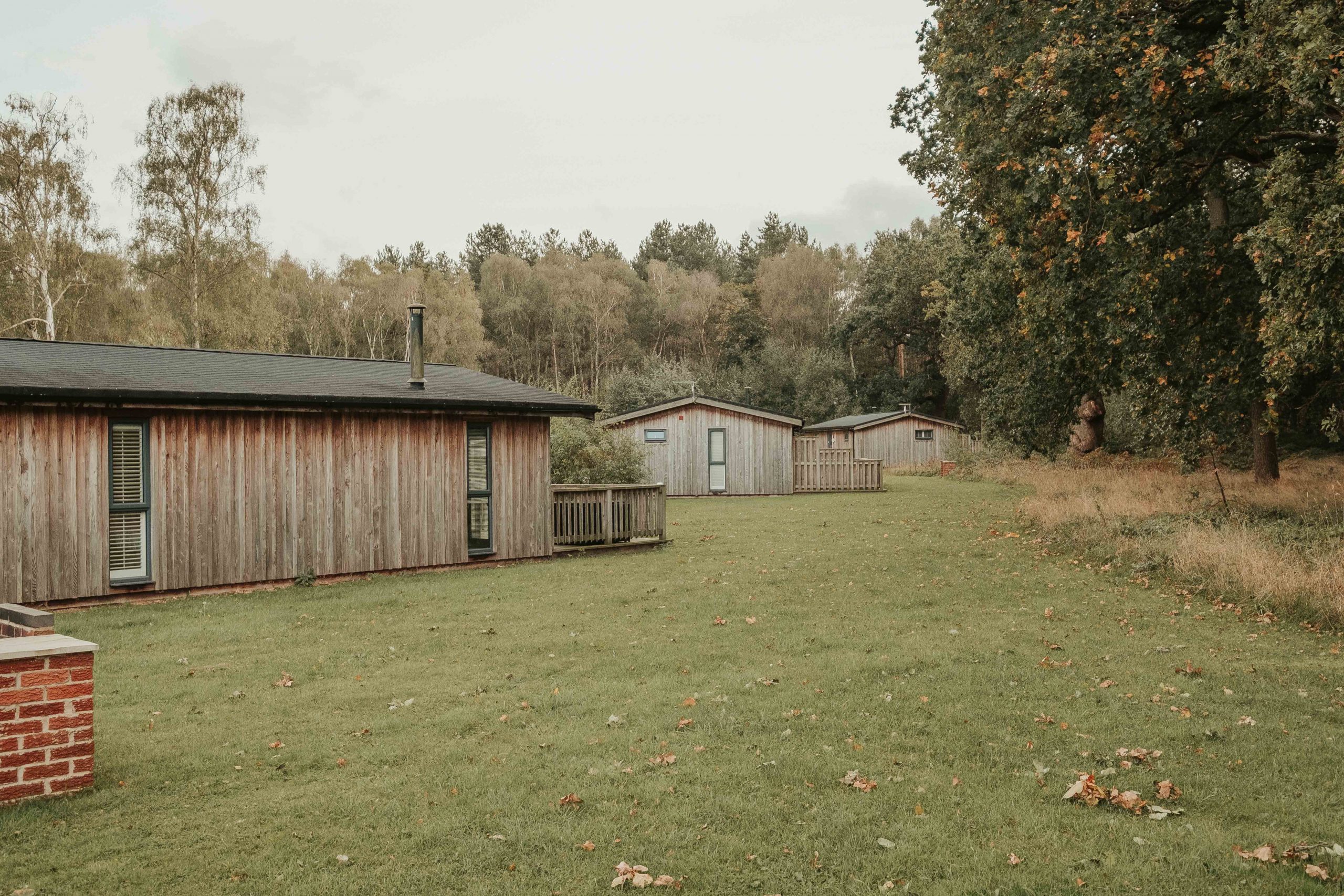 Beautiful lodges Sherwood hideaway with forest views