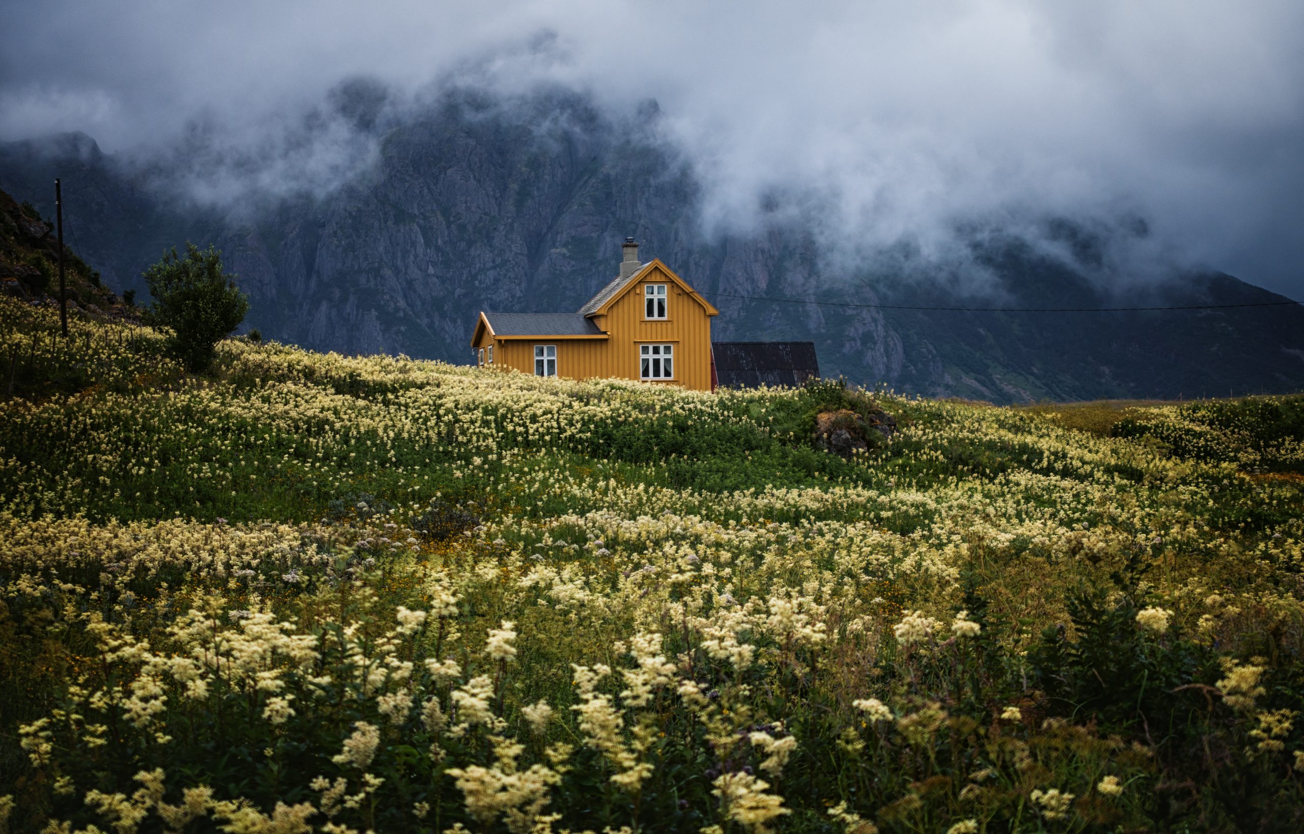Beautiful Norway Wilderness