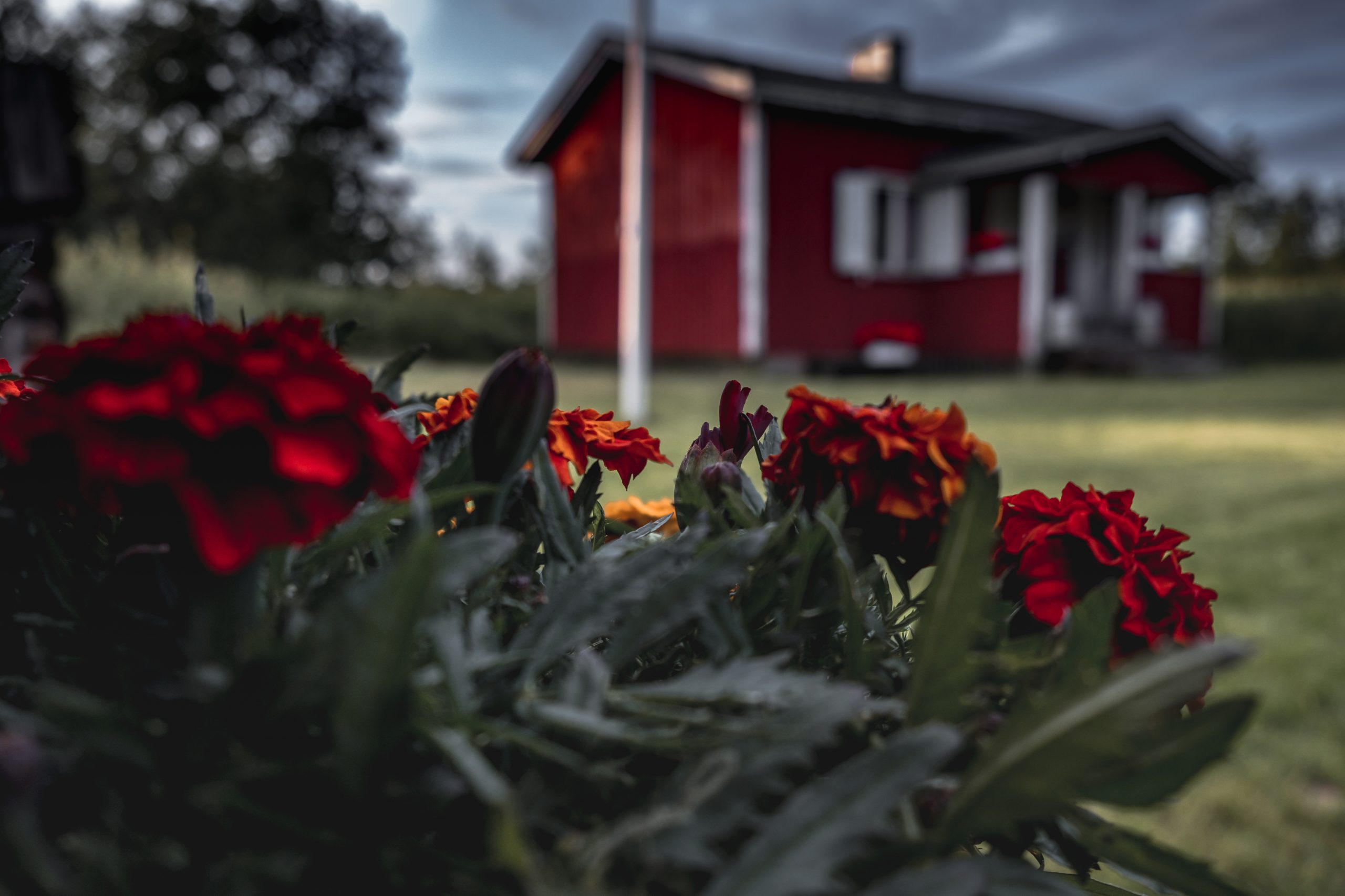 Beautiful remote house in Finnish Lapland