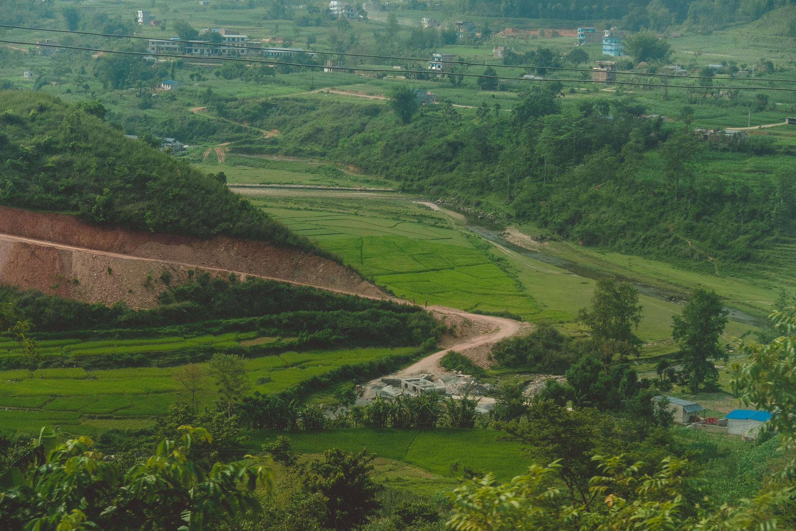 Beautiful Tea Plantations in Nepal