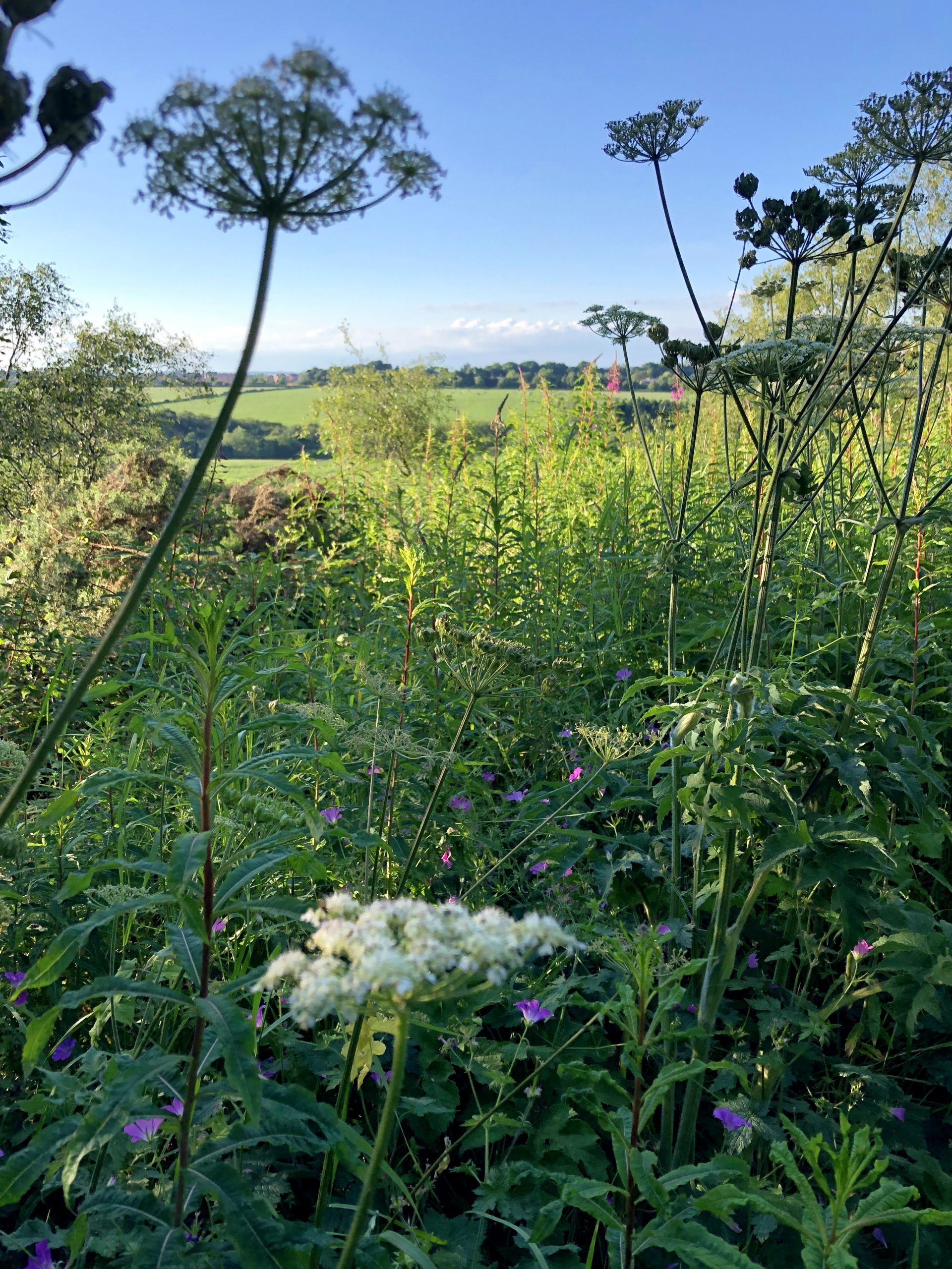 Beautiful Yorkshire countryside Pinewoods Harrogate