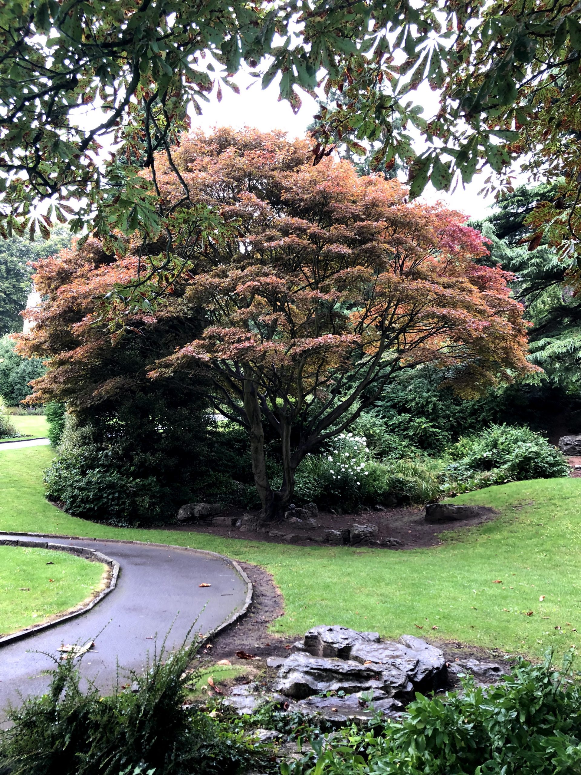 Bebra Gardens in Knaresborough