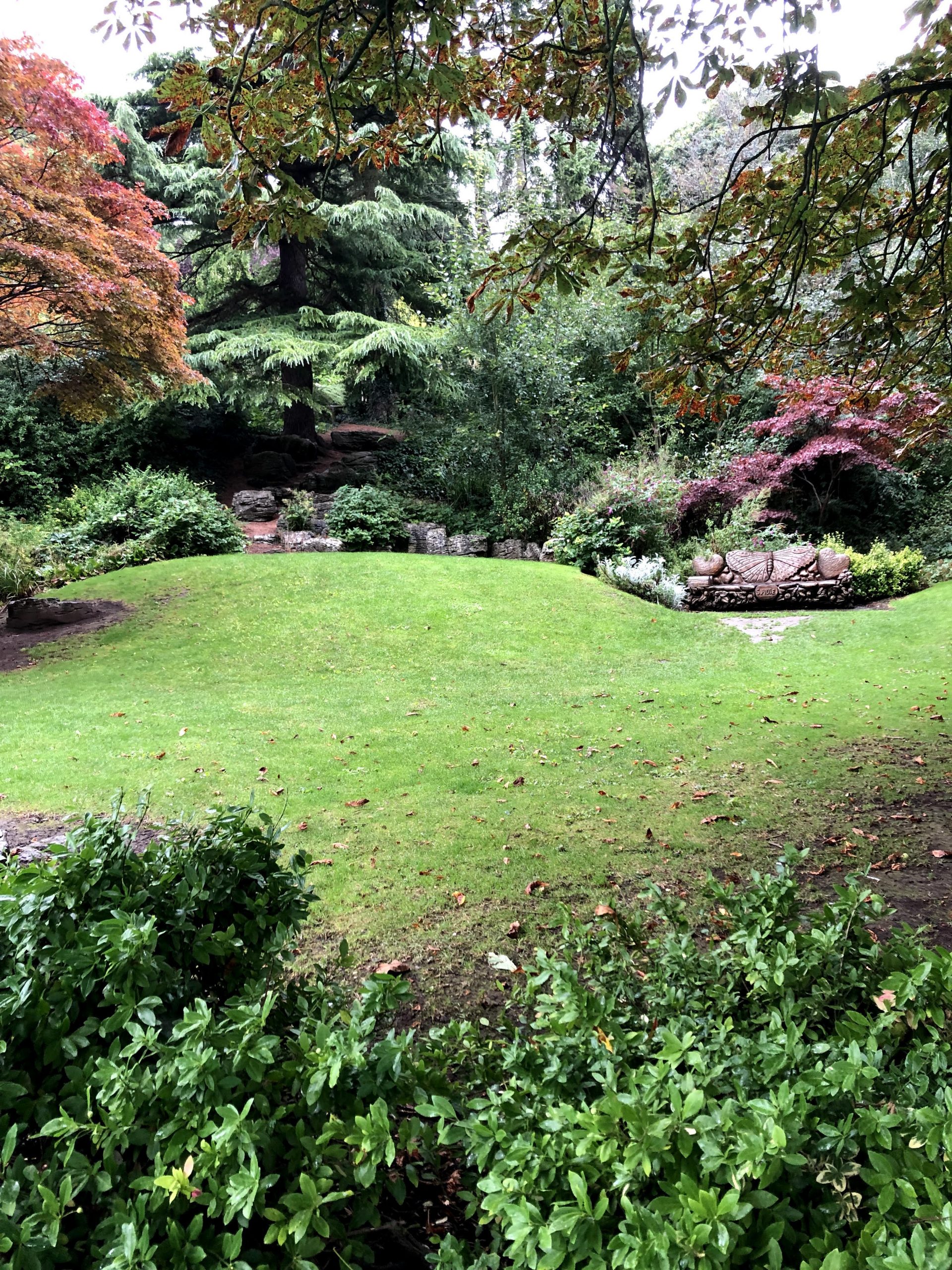 Bebra Gardens with a beautiful wooden sculpted bench in Knaresborough