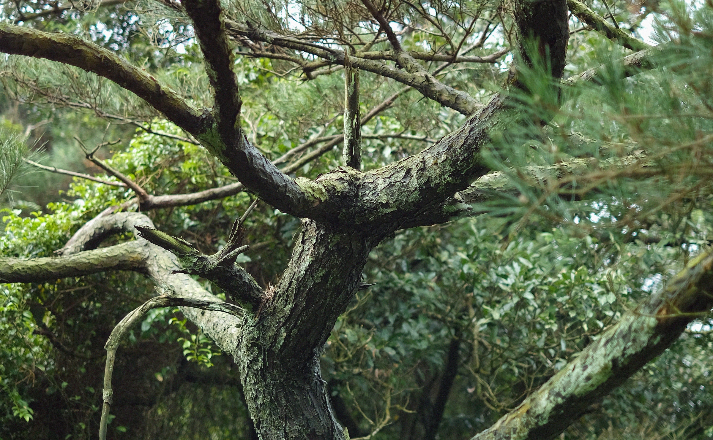 Beitou District Taipei Lust Yangmingshan national park