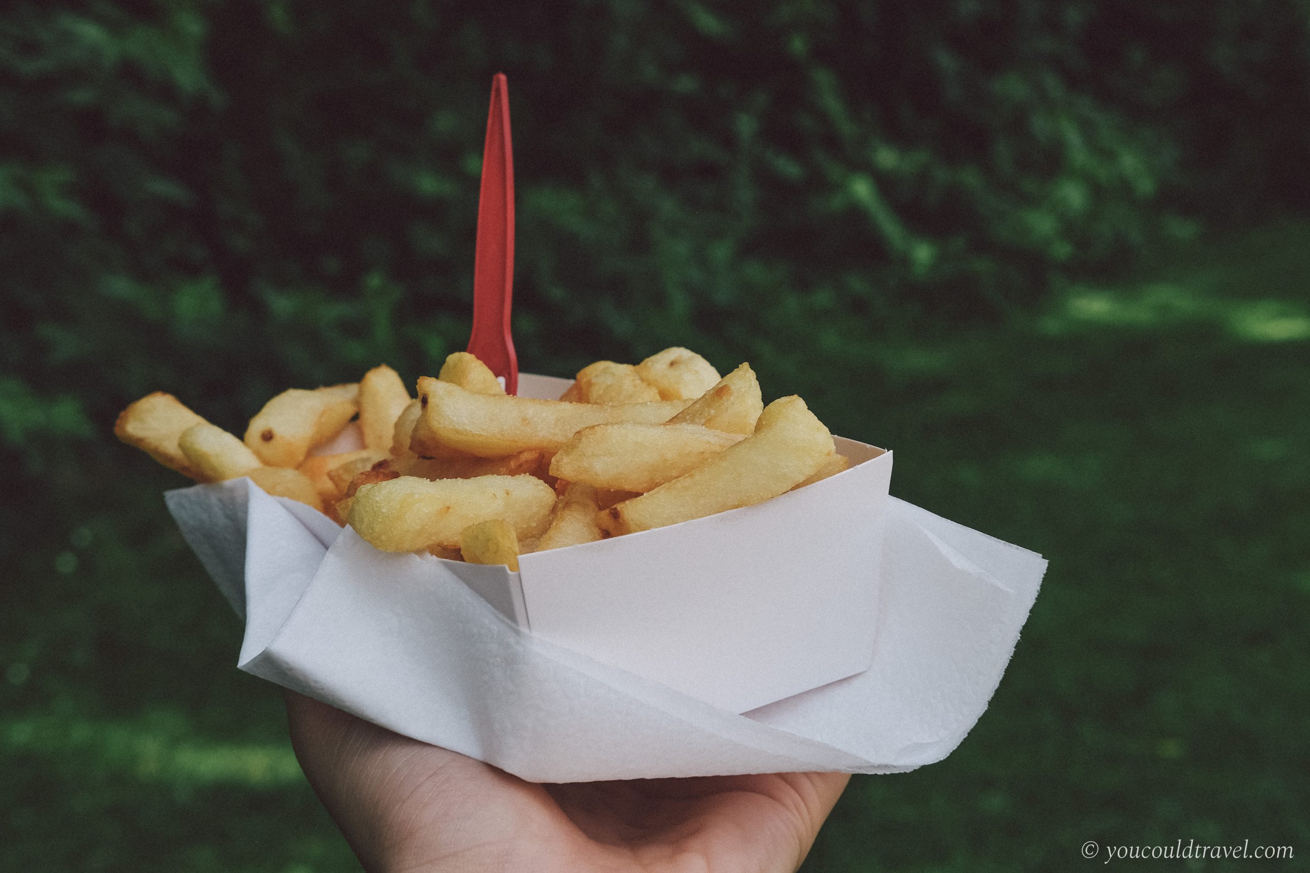 Belgian Fries