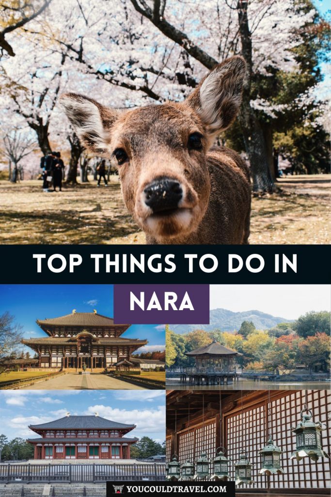 Best things to do in Nara, Japan