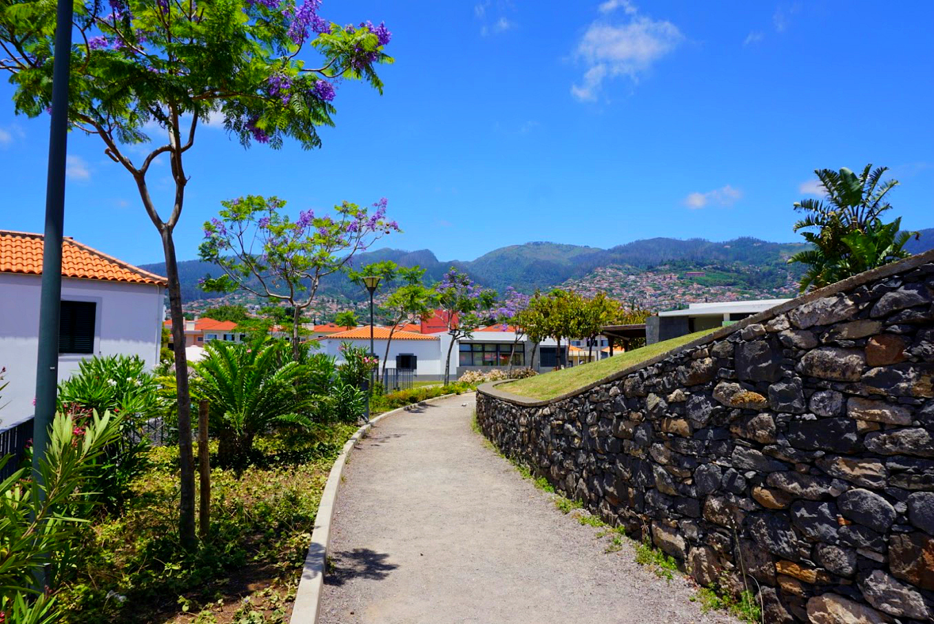 Beyond Madeira Cake Funchal Streets Hills Gardens 