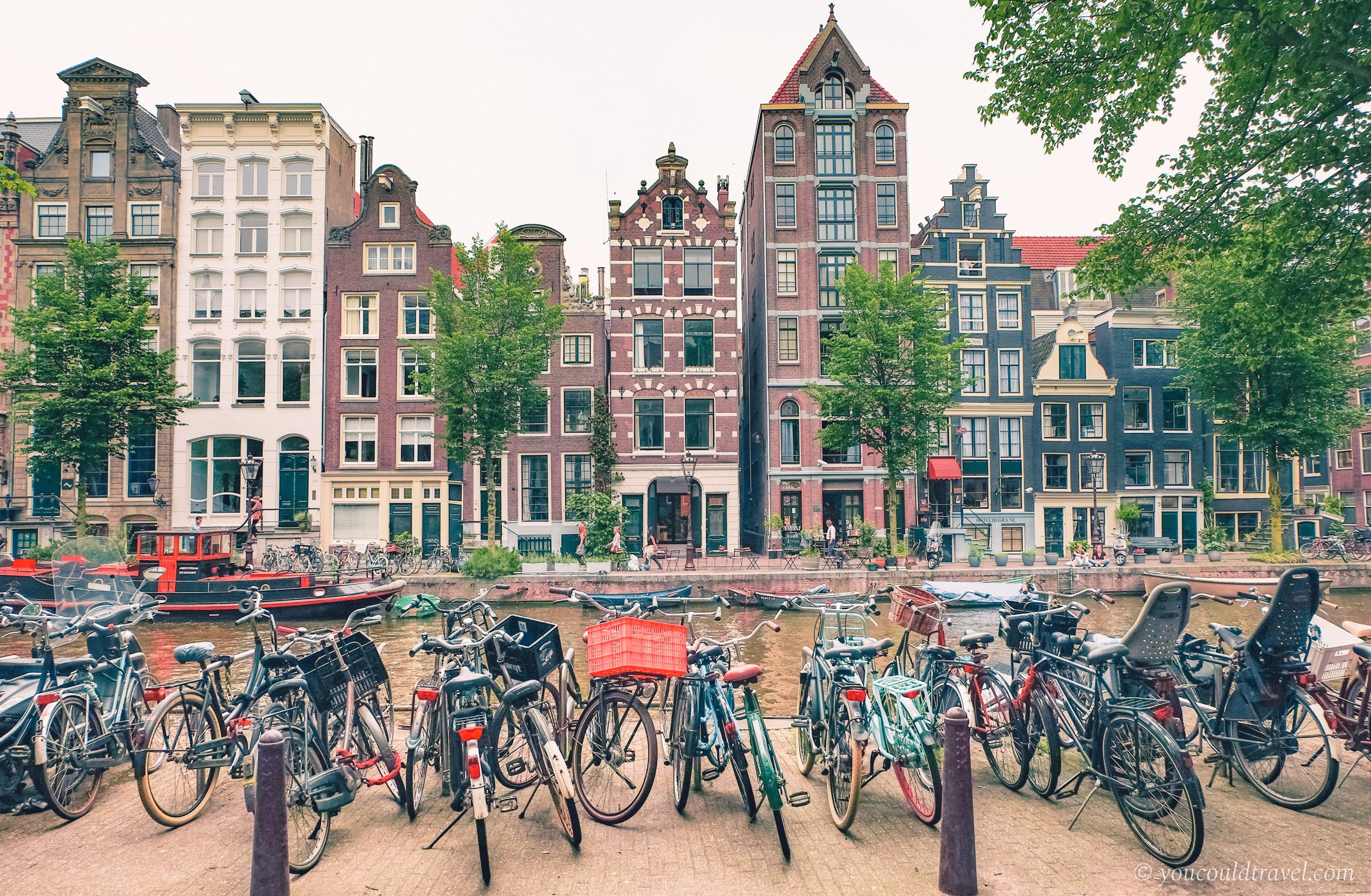 Biking in Amsterdam