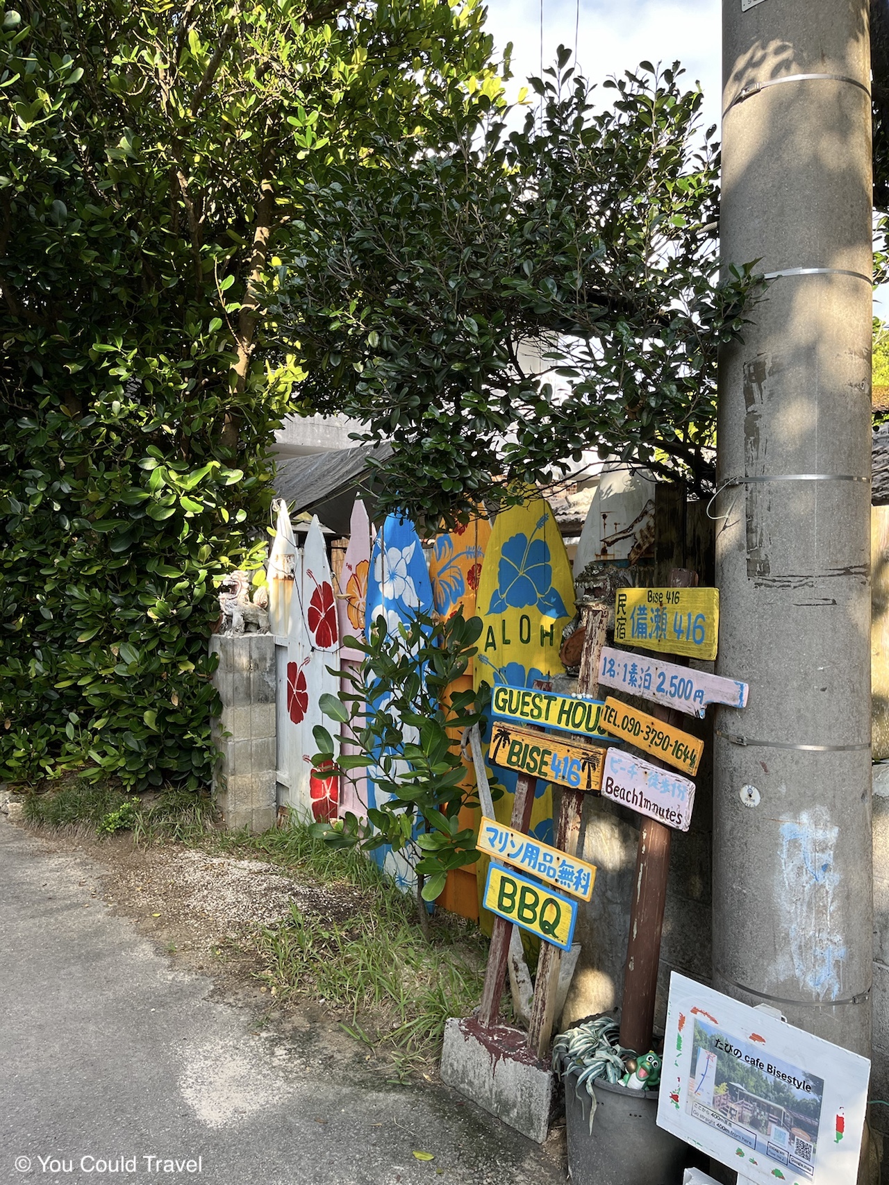 Bise Fukugi Tree Road signs