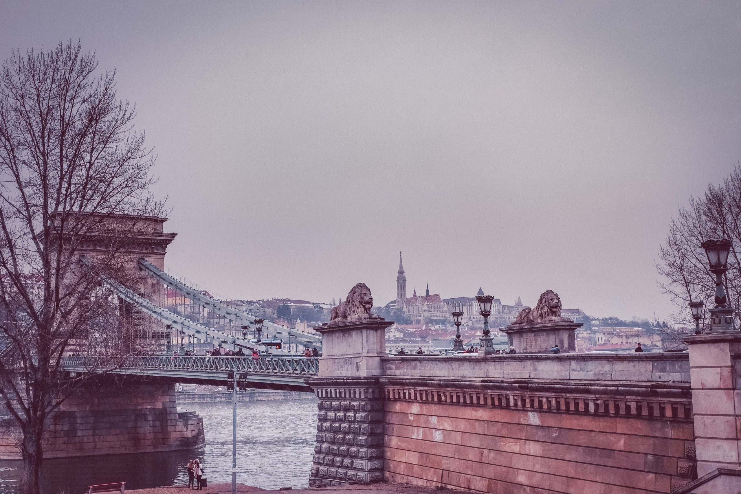 Bridge in Budapest