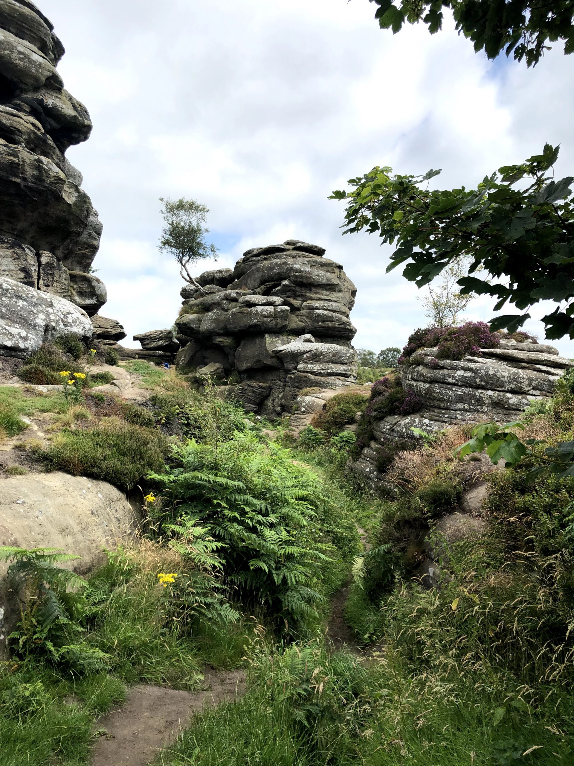 Brimham rocks national trust site near harrogate