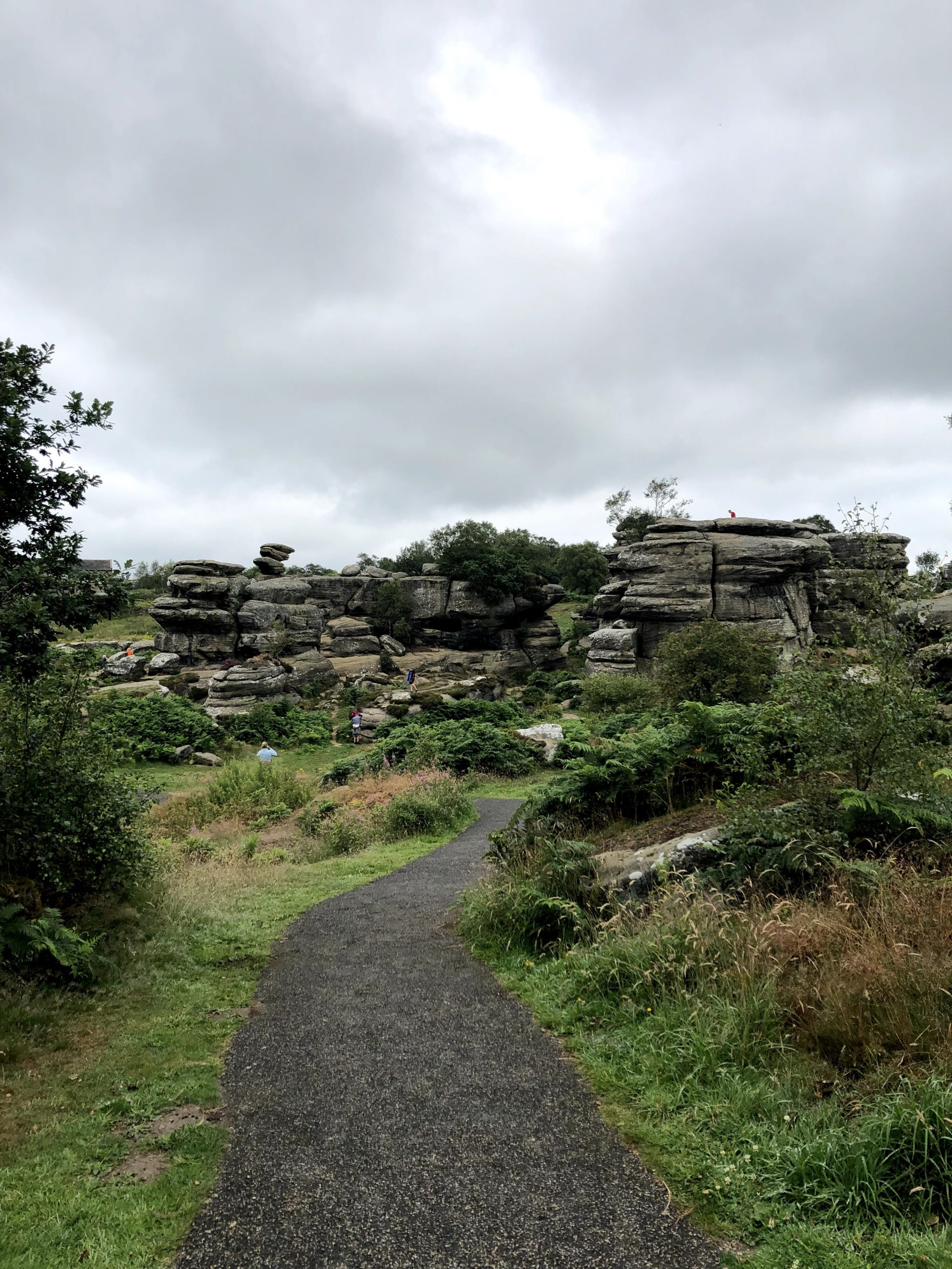 Brimham rocks national trust site near harrogate