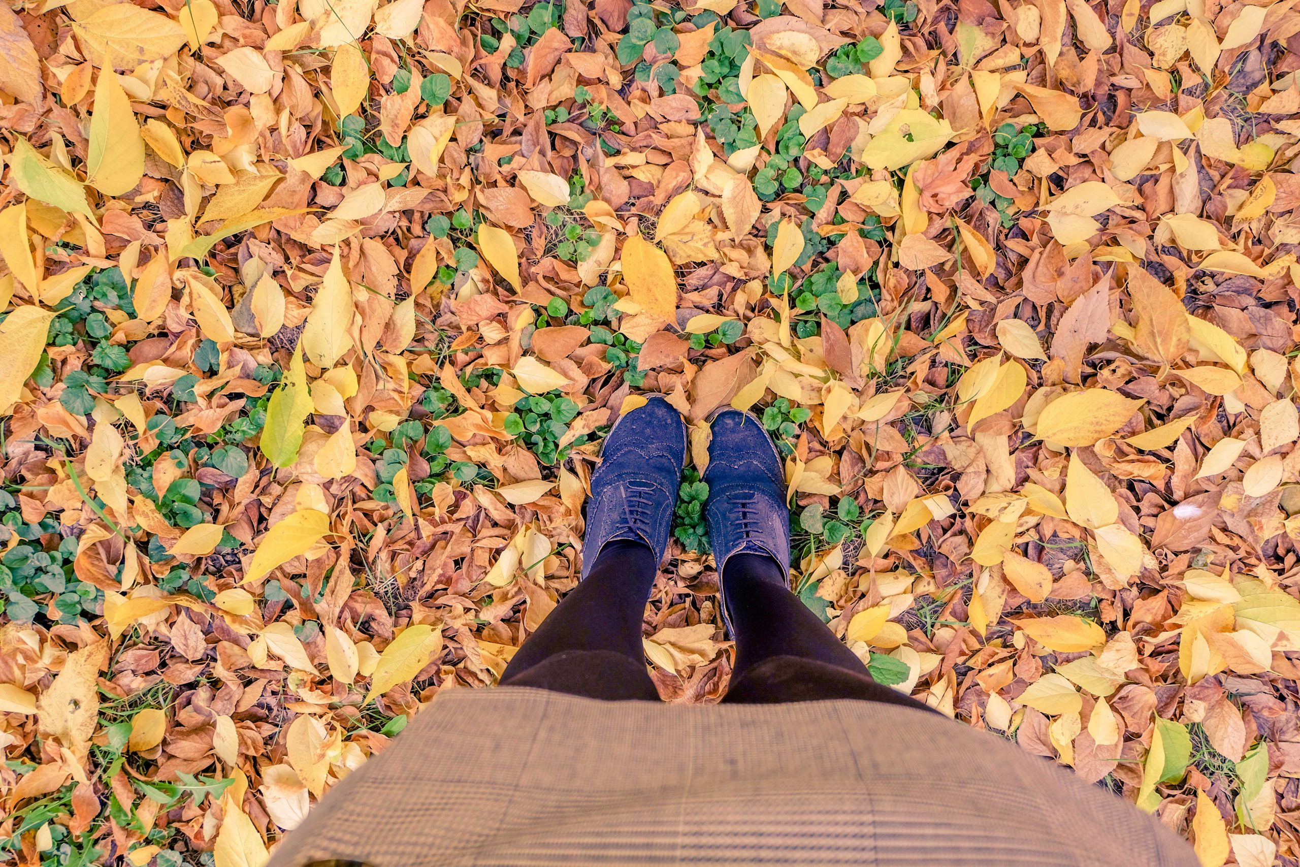 Bucharest Autumn