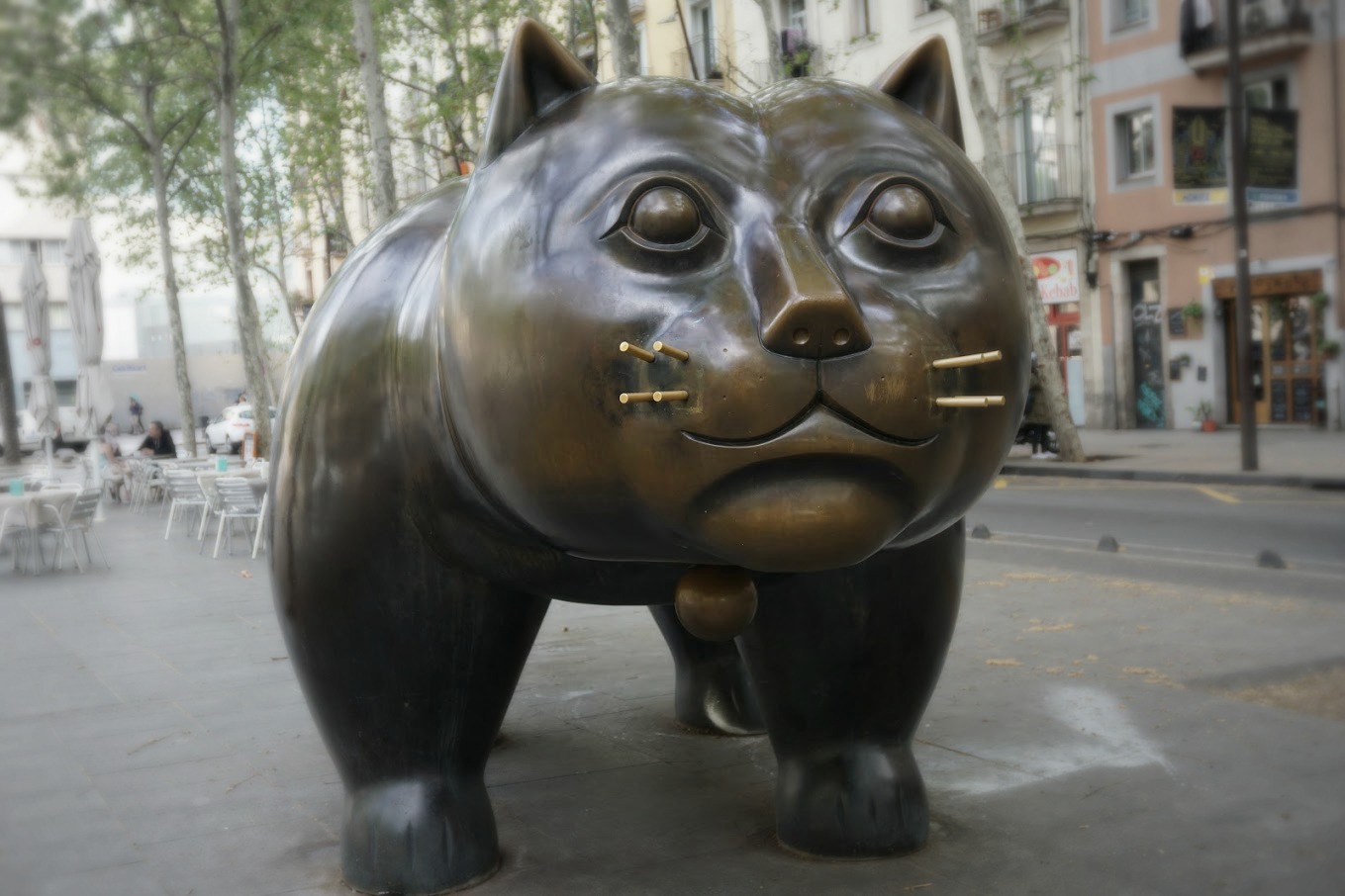 Cat El Raval Barcelona Cat El Raval Barcelona