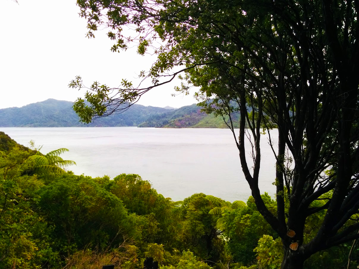 Coastal Walk Queen Charlotte Track