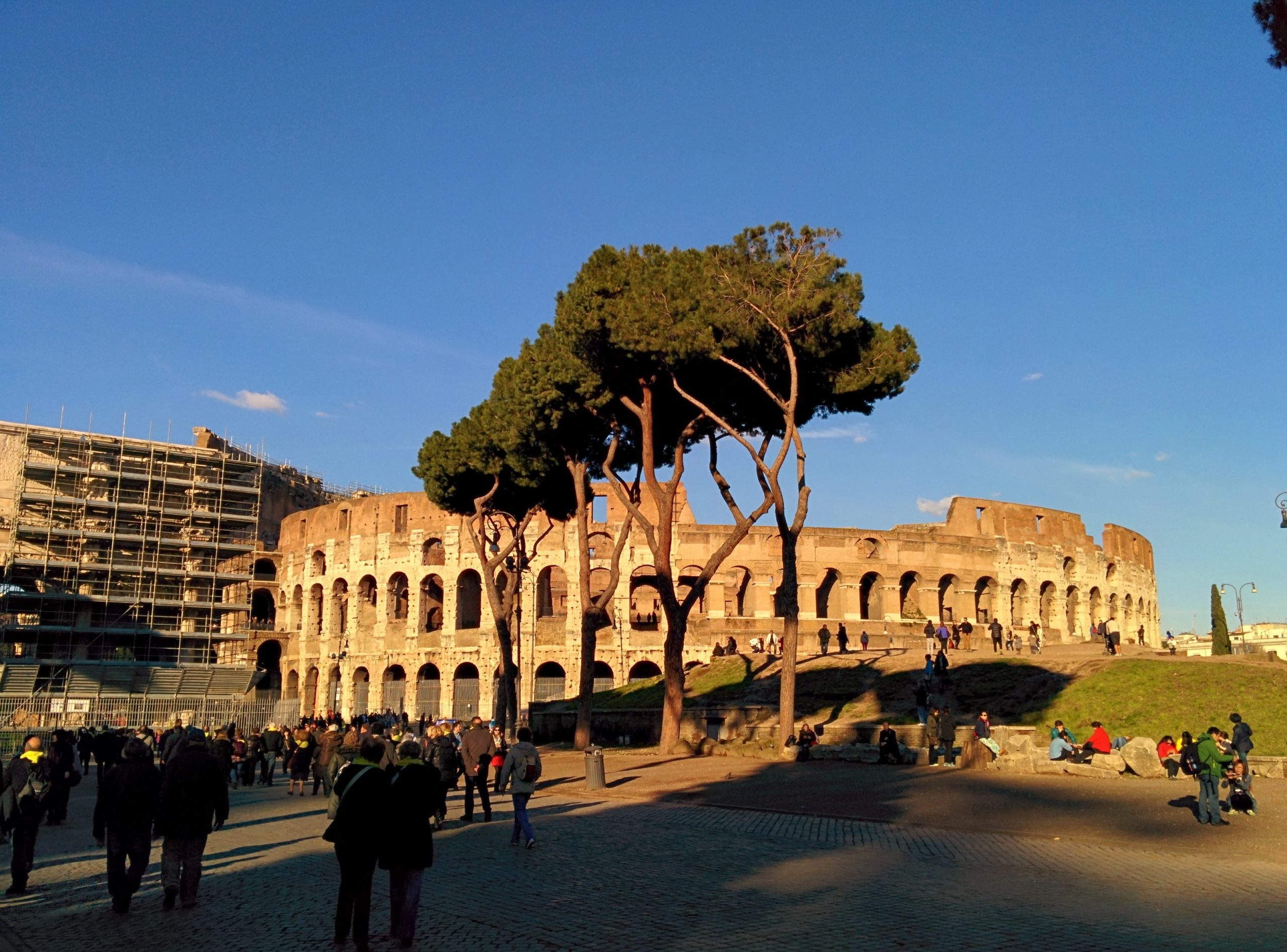 Colosseum Trees Rome