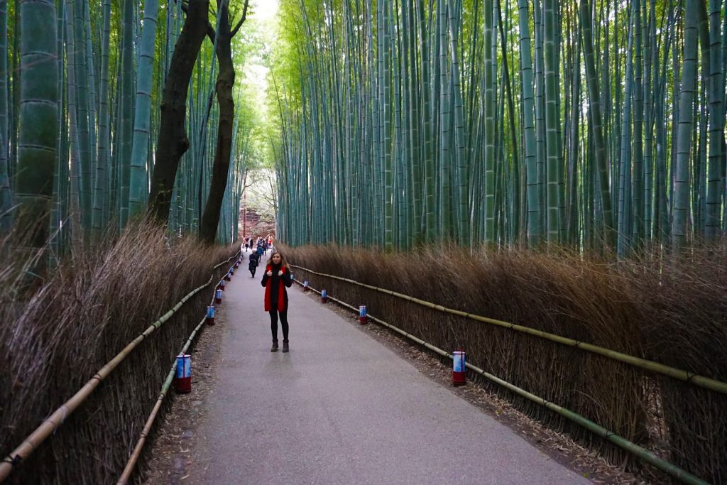 Cory from You Could Travel visiting the Arashiyama Bamboo Forest