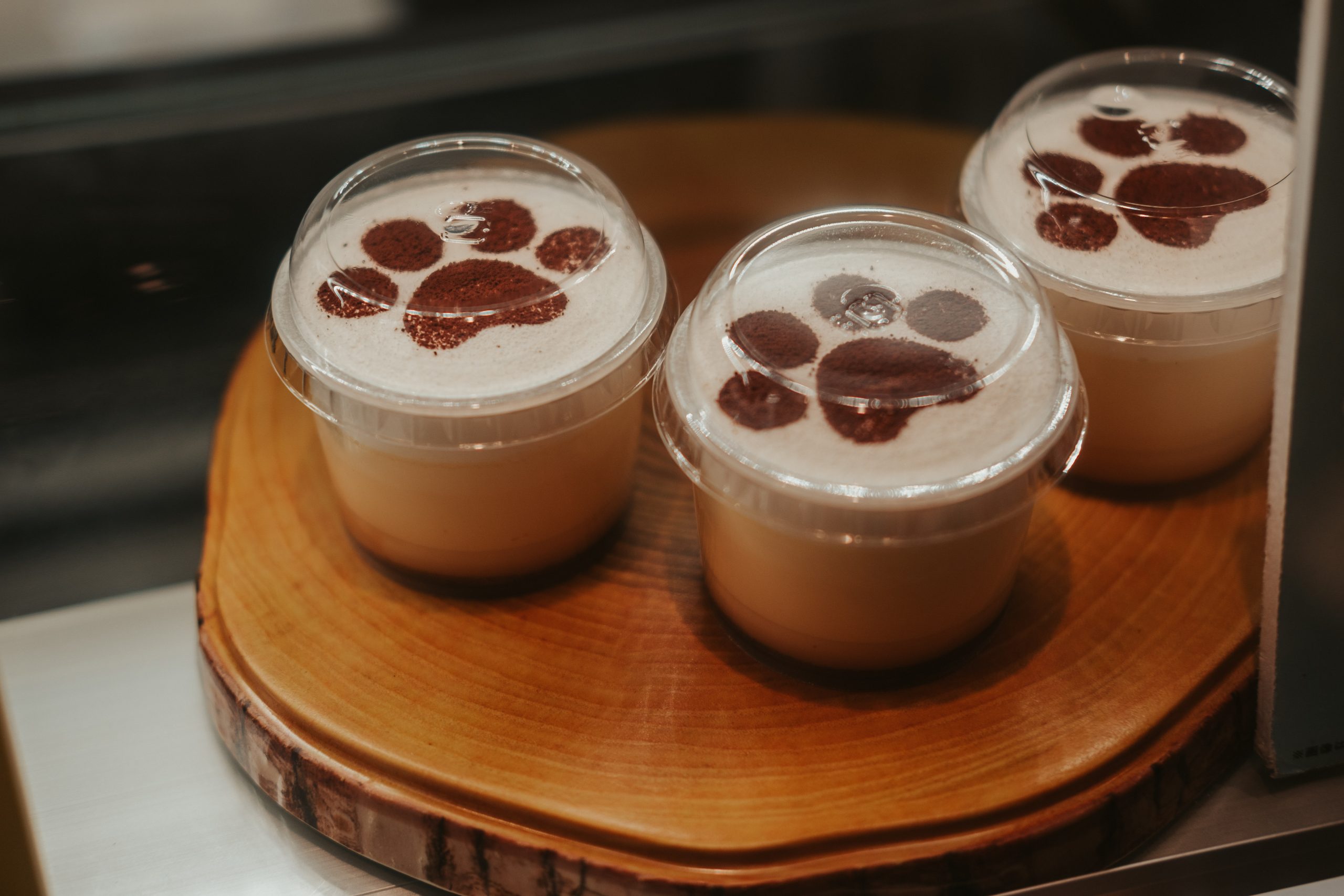 Cafe selling cat themed desserts