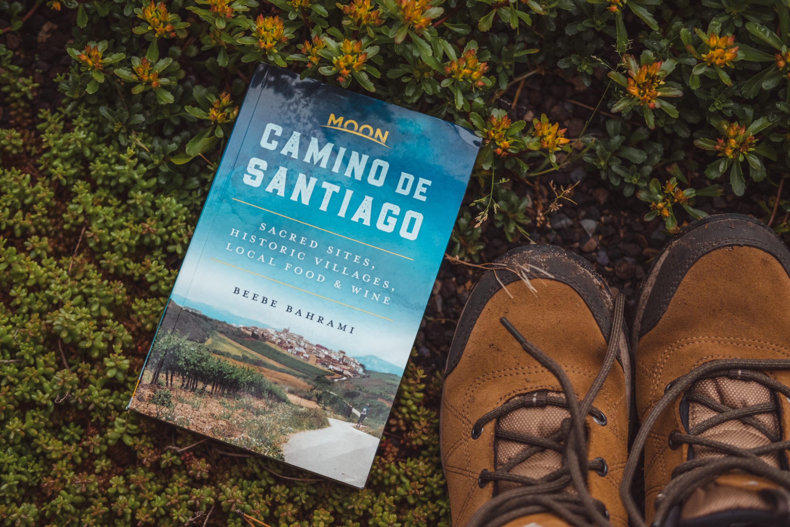 Camino de Santiago with Moon Travel Guide
