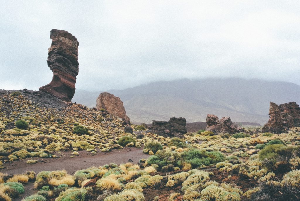 Canary island Destination