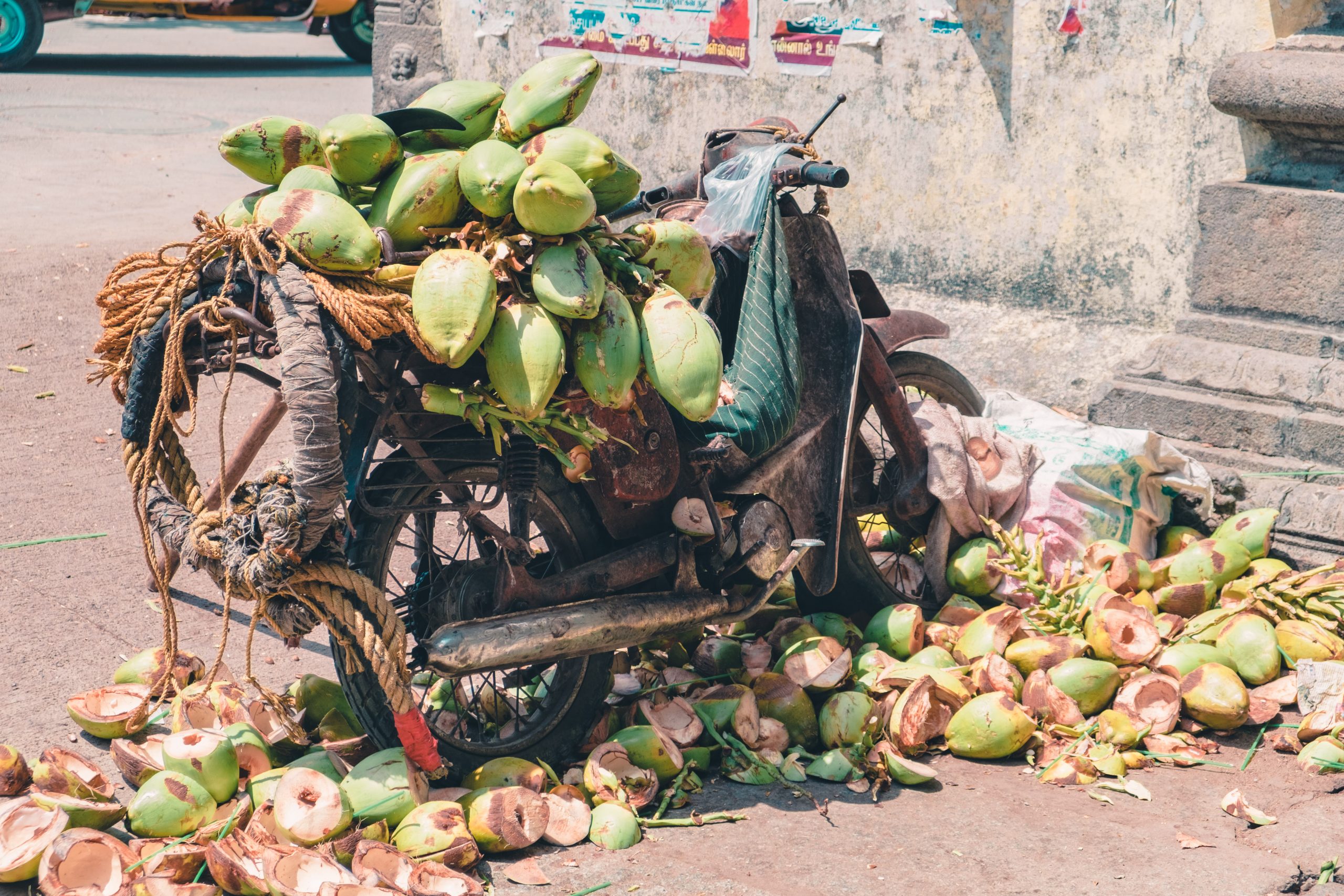 Cart of Coconuts Cart of Coconuts