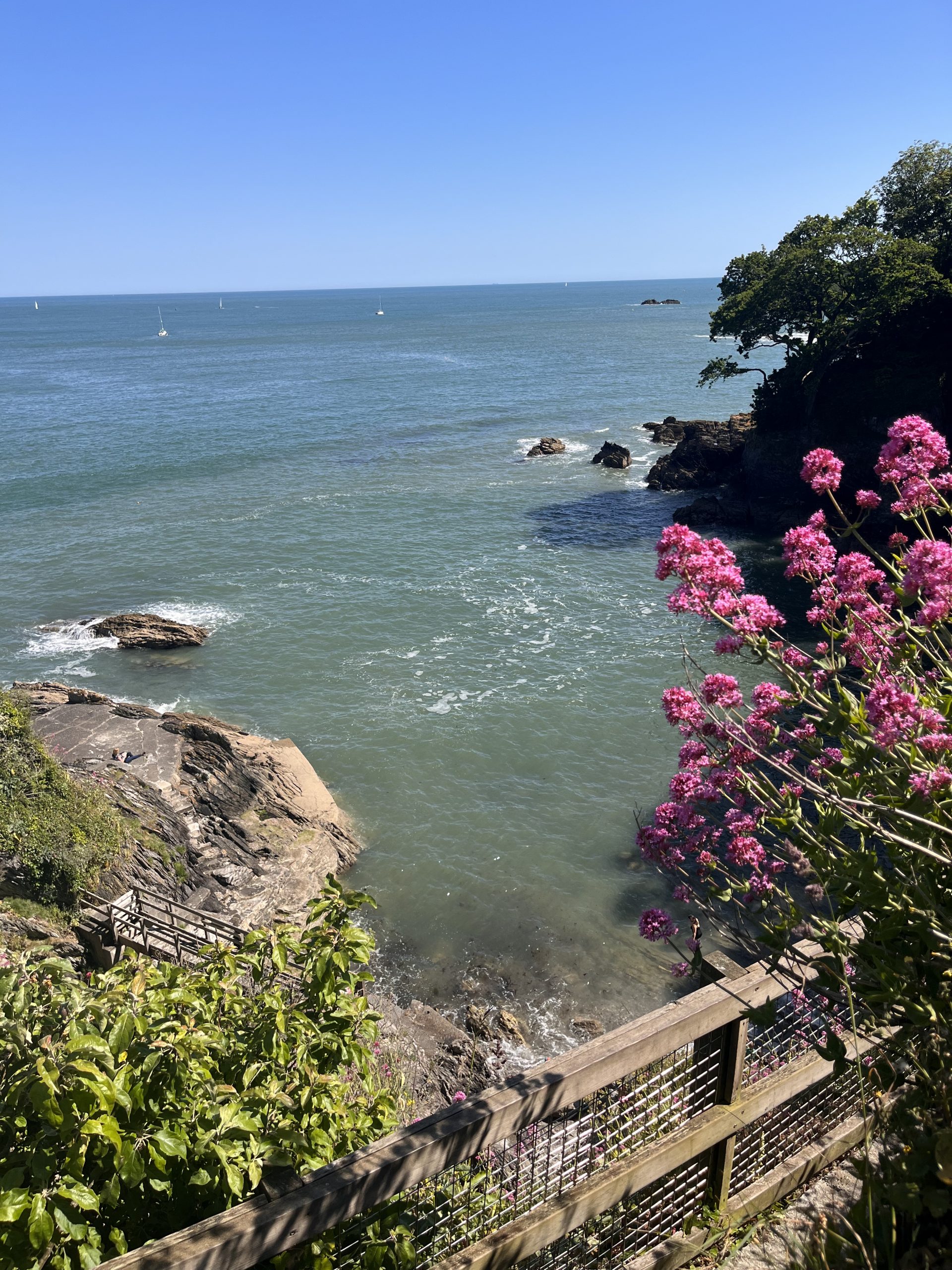 Coastal views of Devon