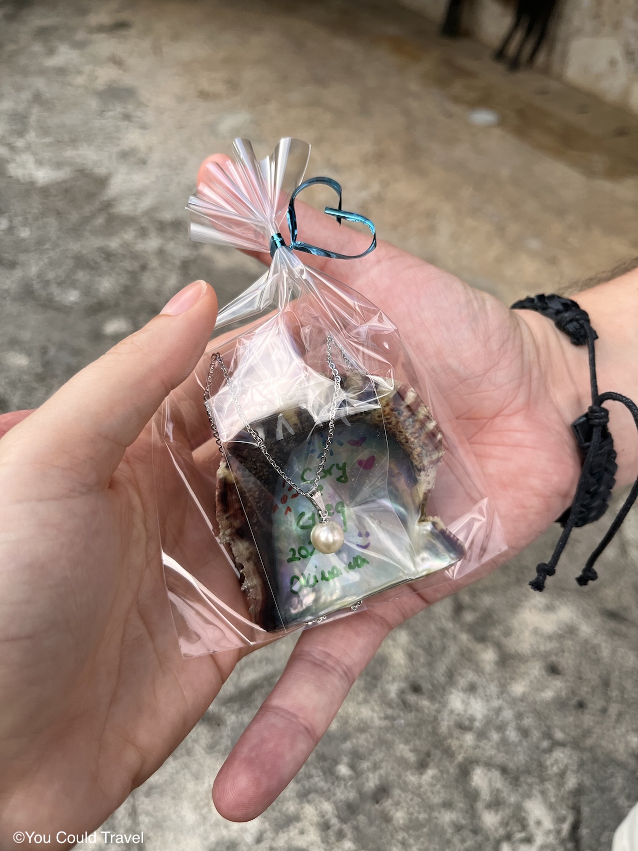 Colourful oyster shell from Okinawa World