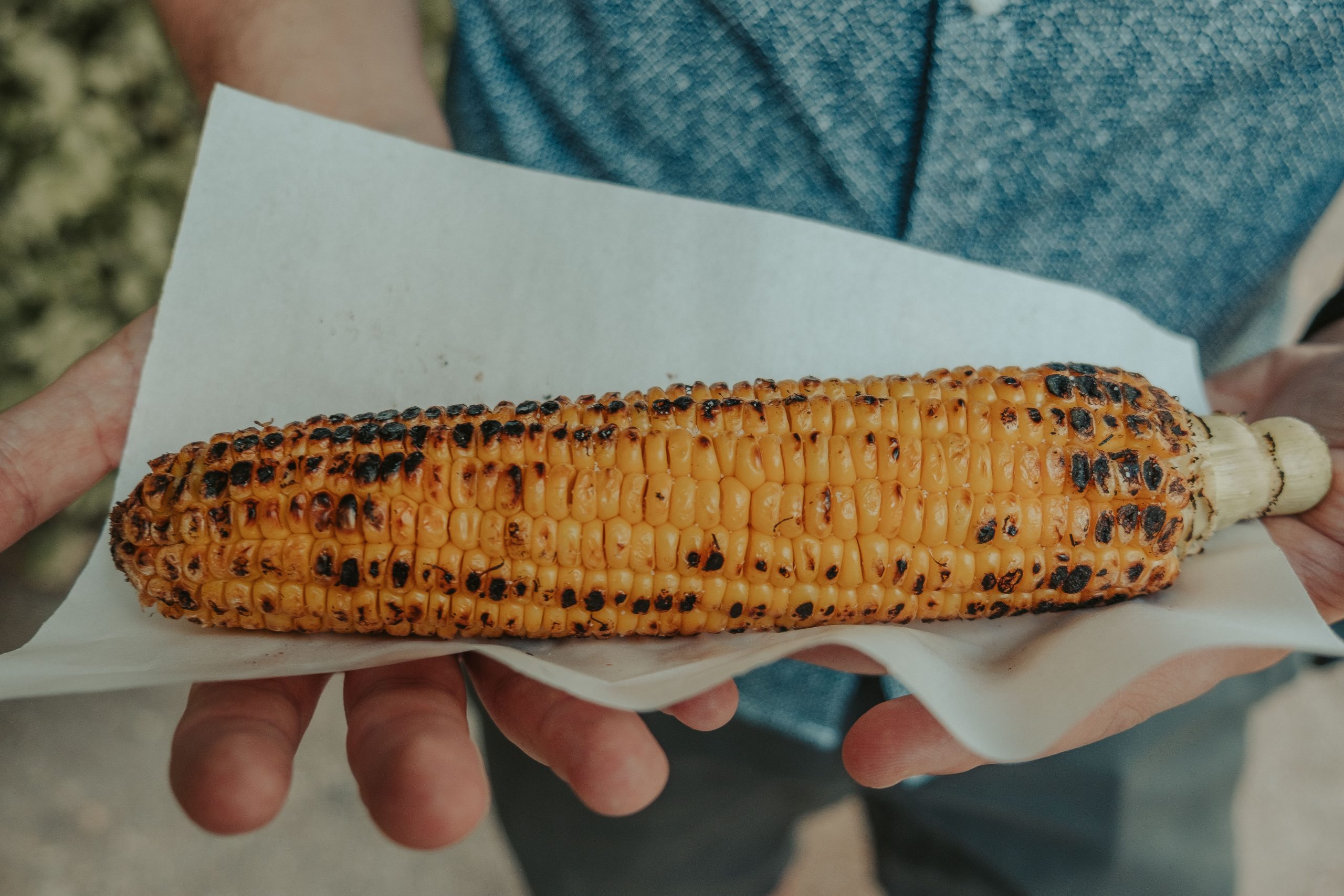 Corn on the cob bought in Athens from a local Corn on the cob bought in Athens from a local