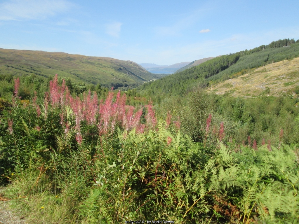 Corrieshalloch Gorge in Ullapool